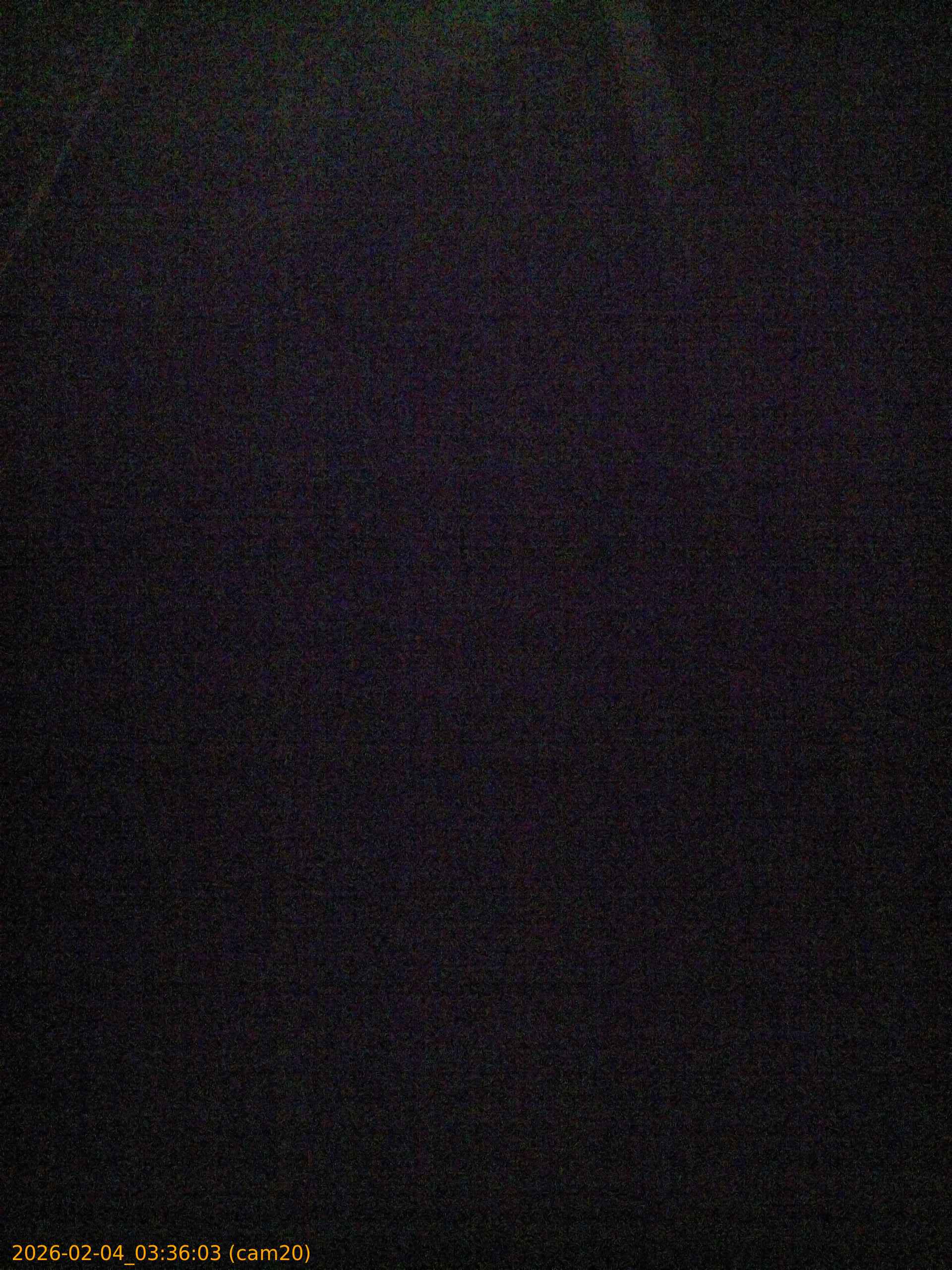 thumbnail_20260204033603