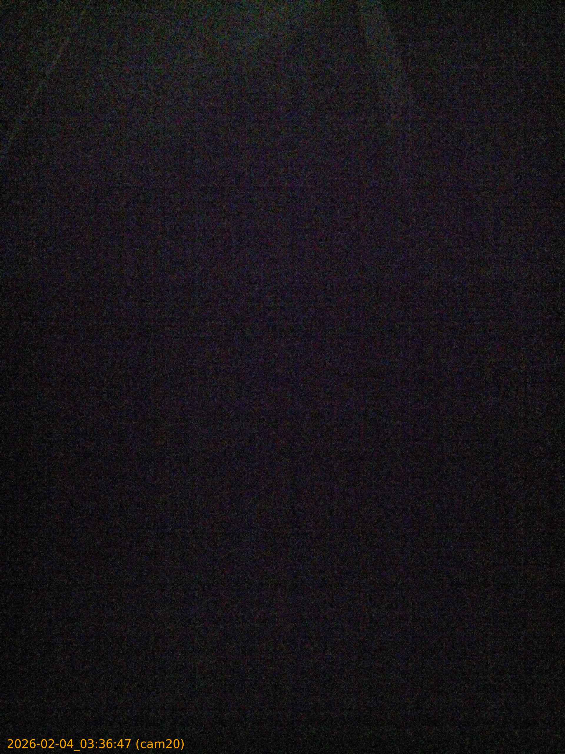 thumbnail_20260204033647