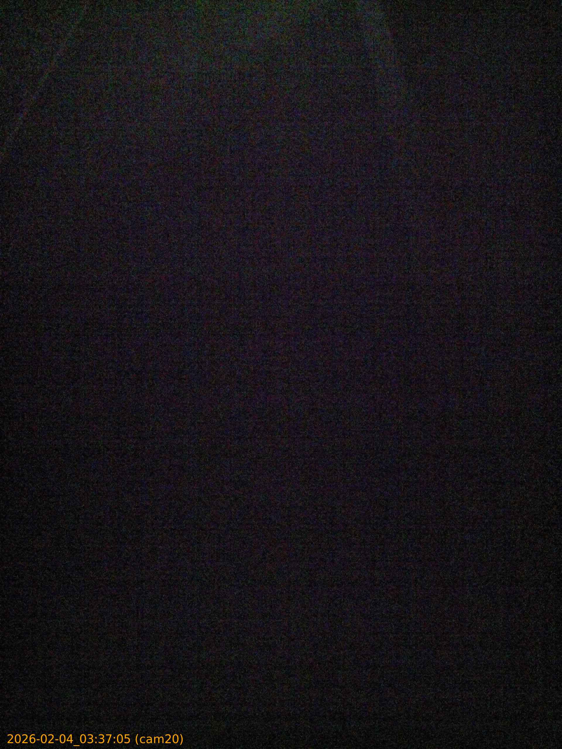 thumbnail_20260204033705