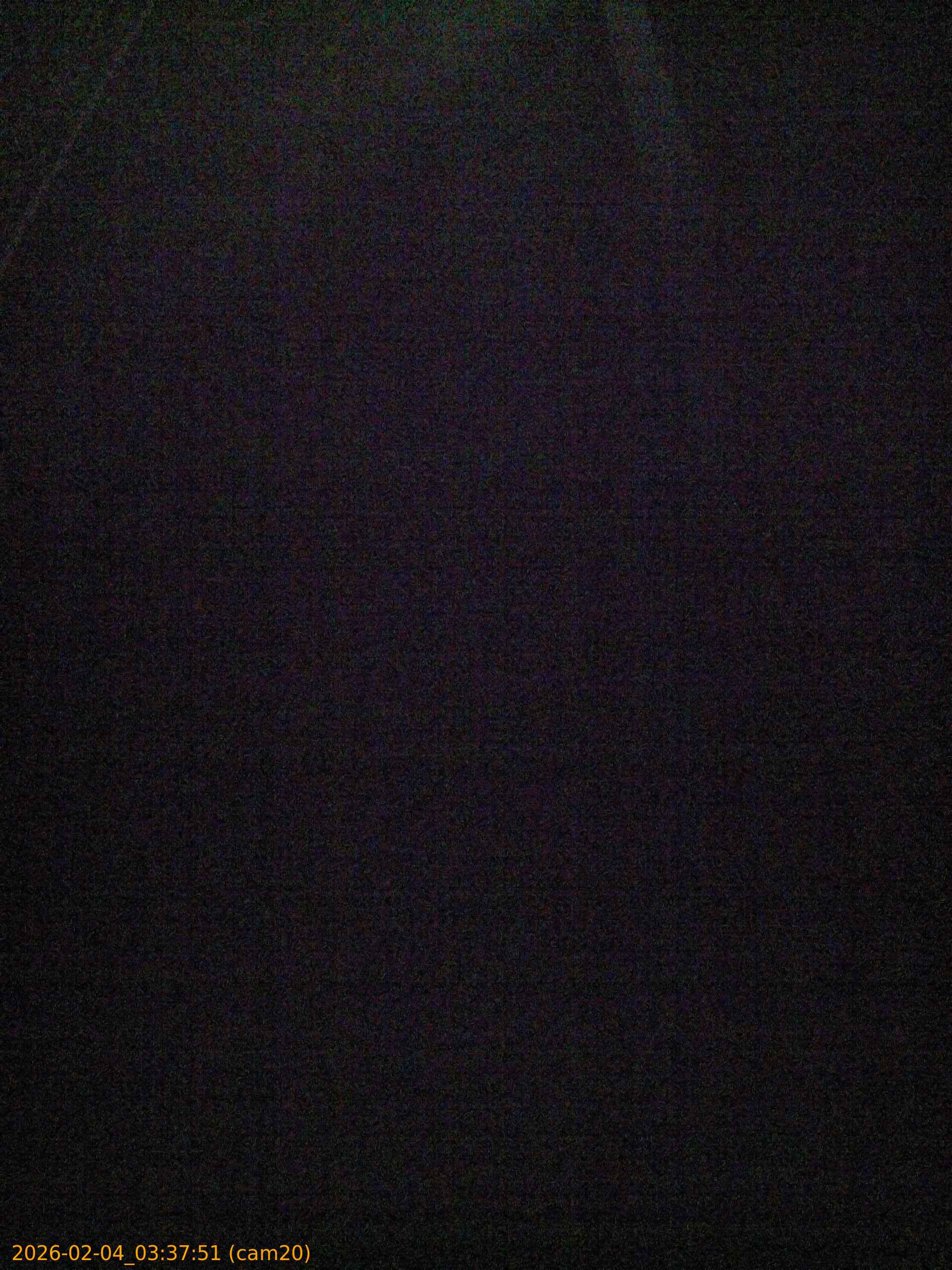 thumbnail_20260204033751