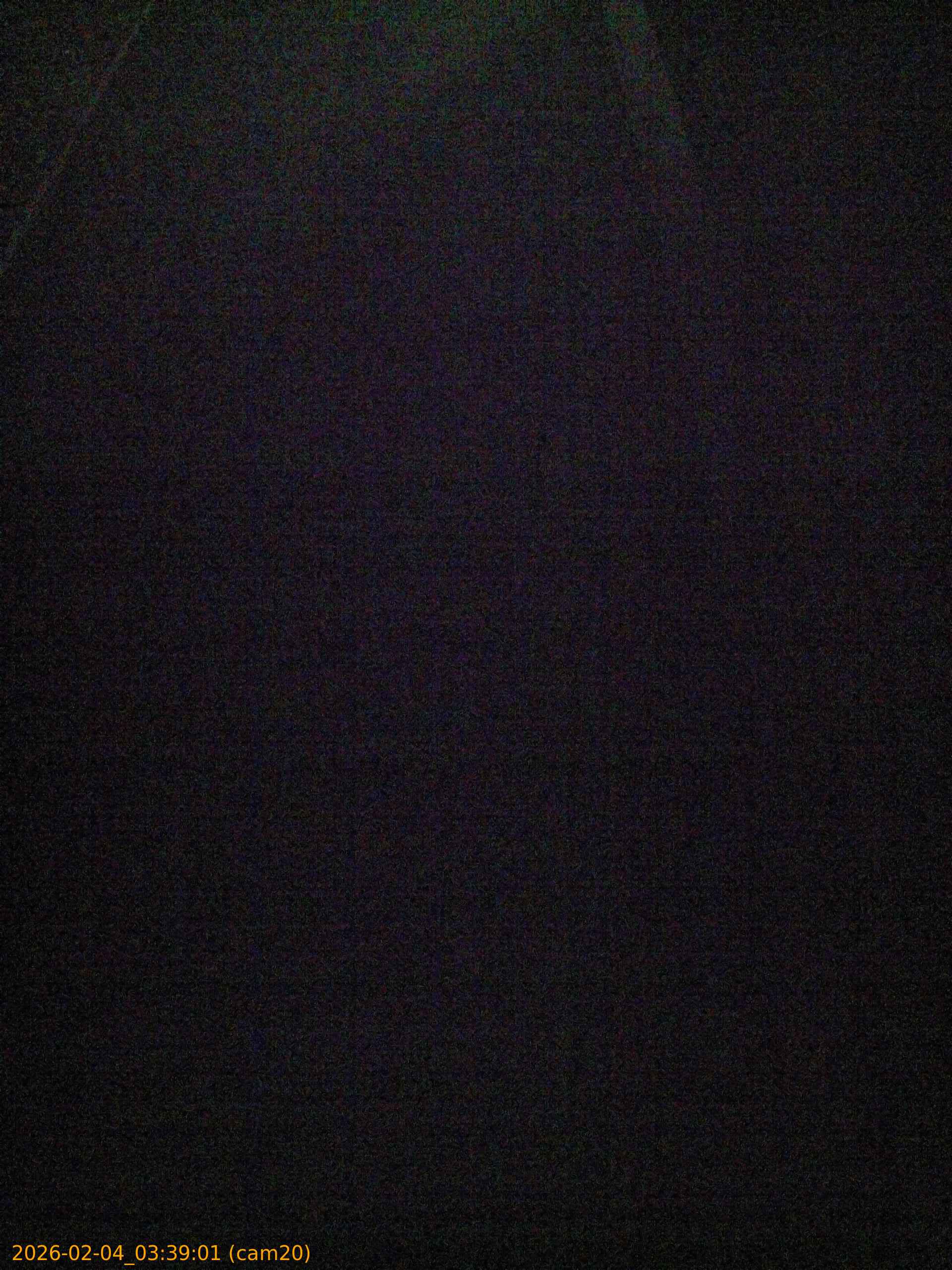 thumbnail_20260204033901