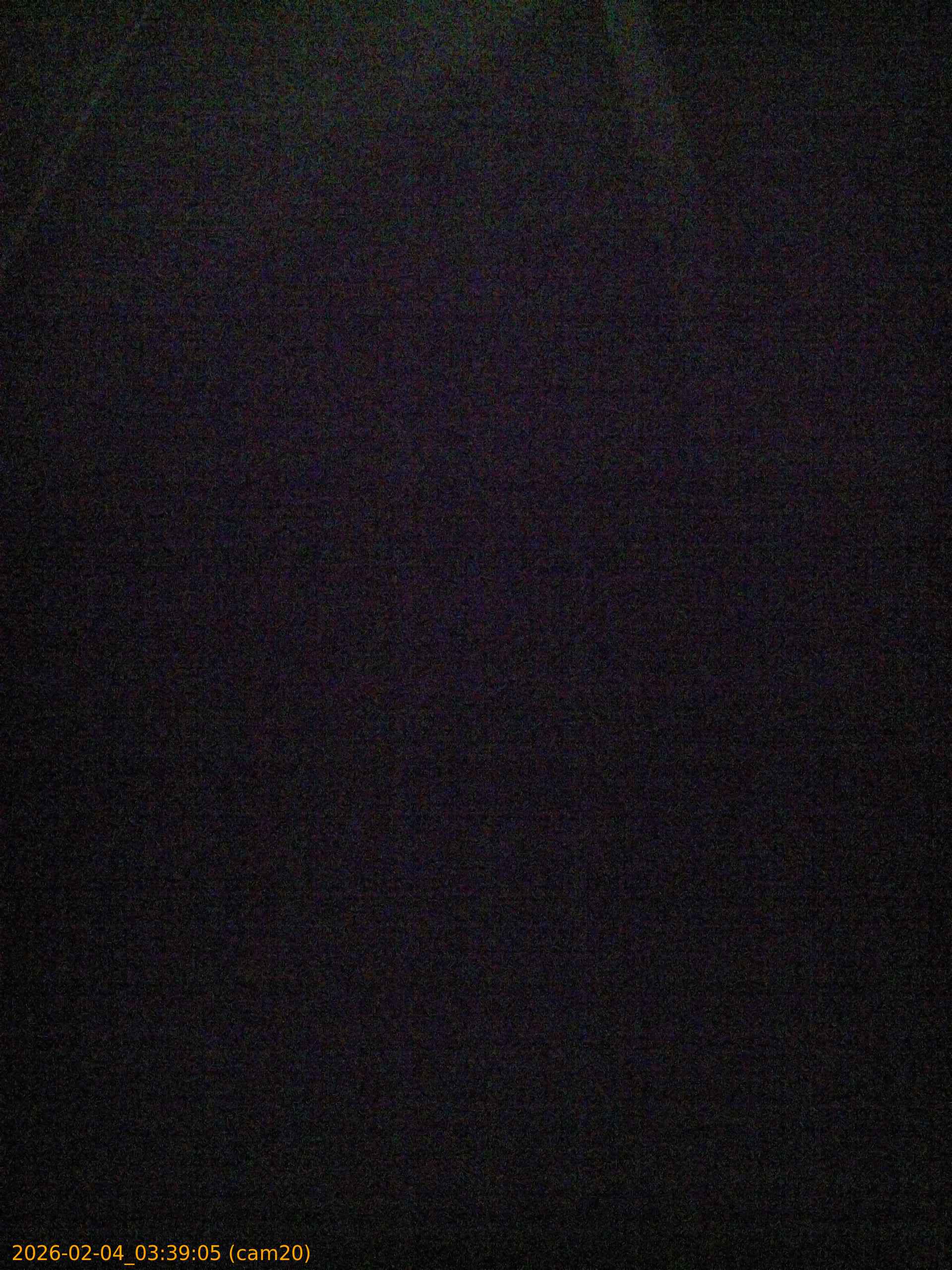 thumbnail_20260204033905