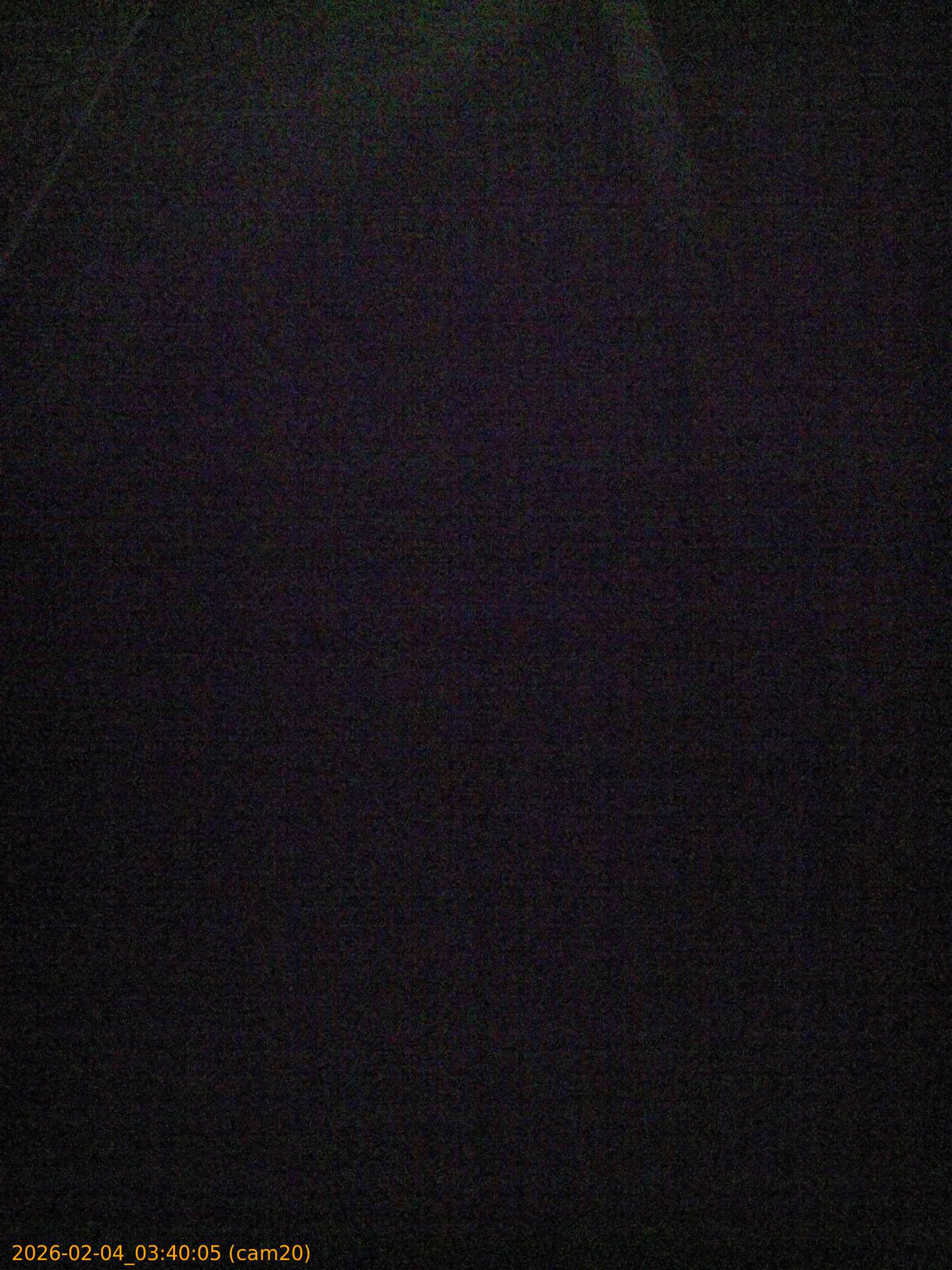 thumbnail_20260204034005