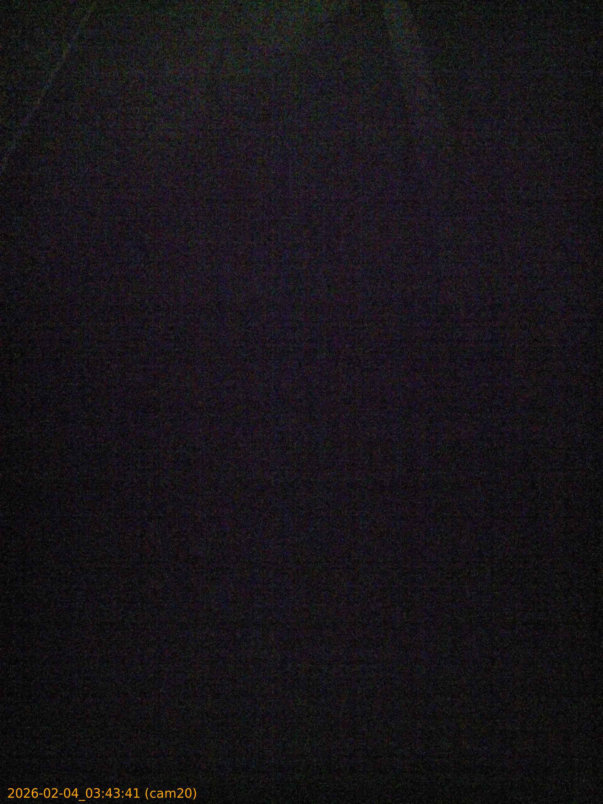 thumbnail_20260204034341