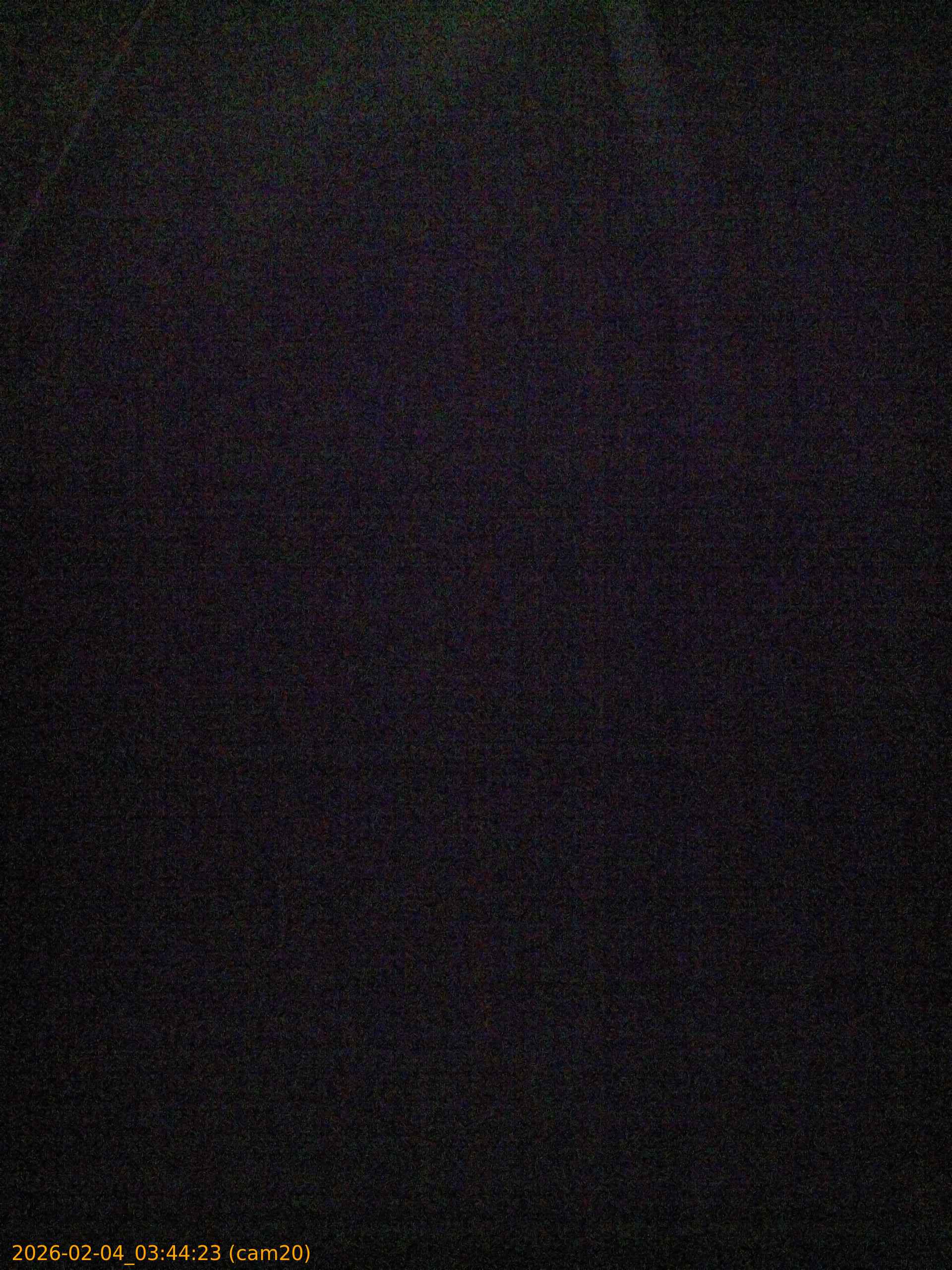 thumbnail_20260204034423