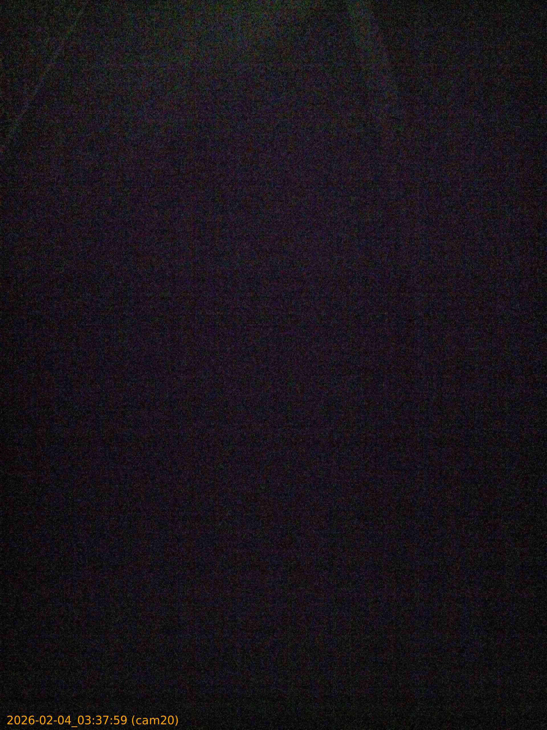 thumbnail_202602040337