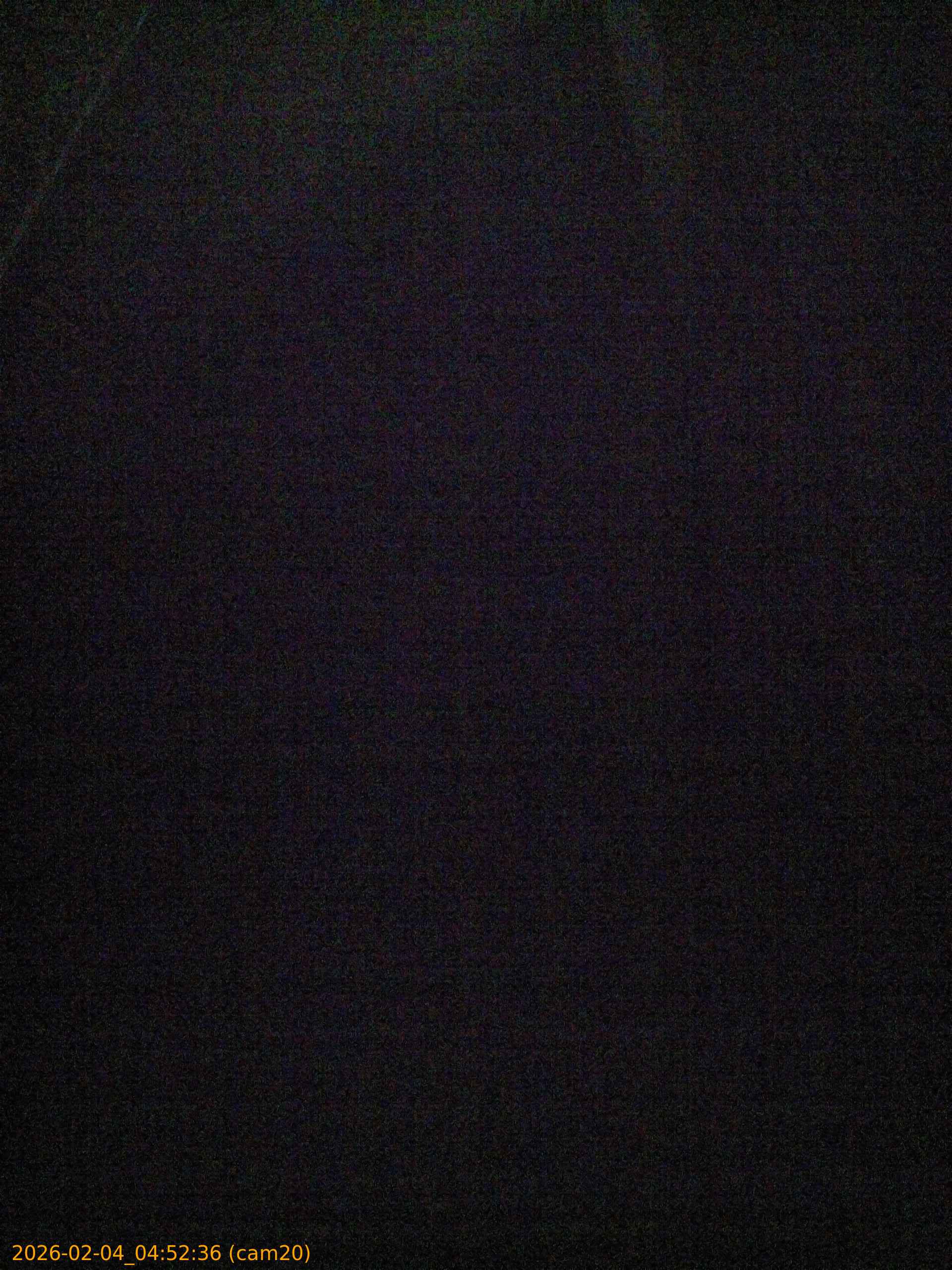 thumbnail_20260204045236