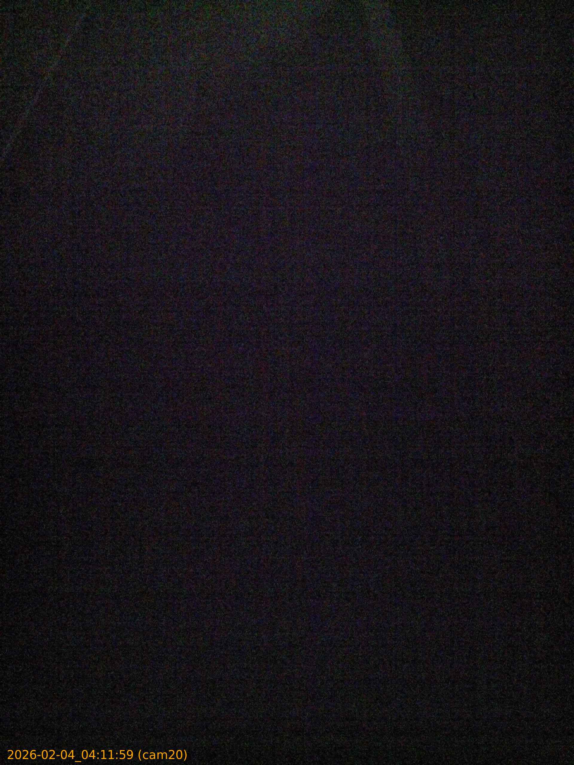 thumbnail_202602040411