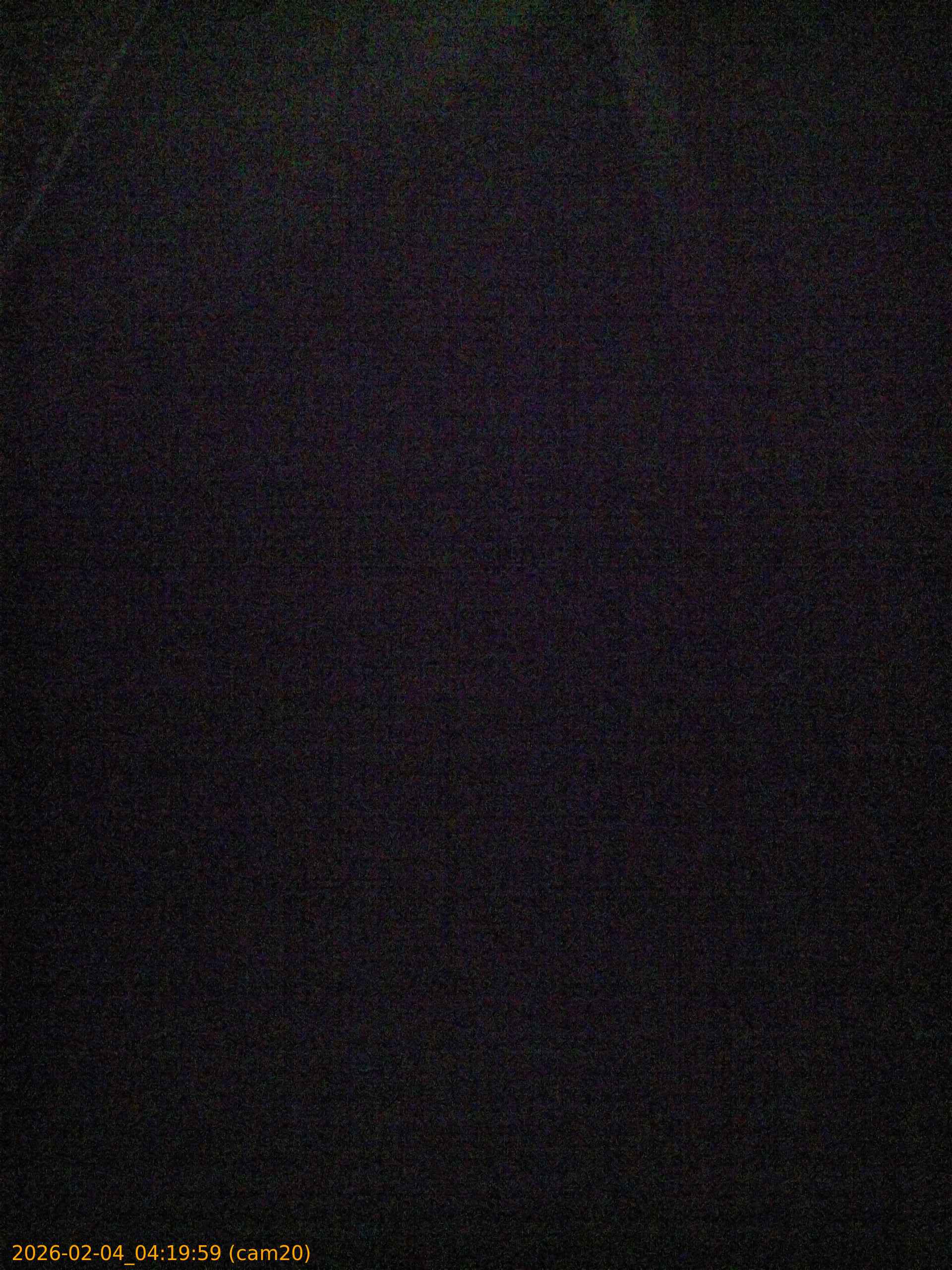 thumbnail_202602040419