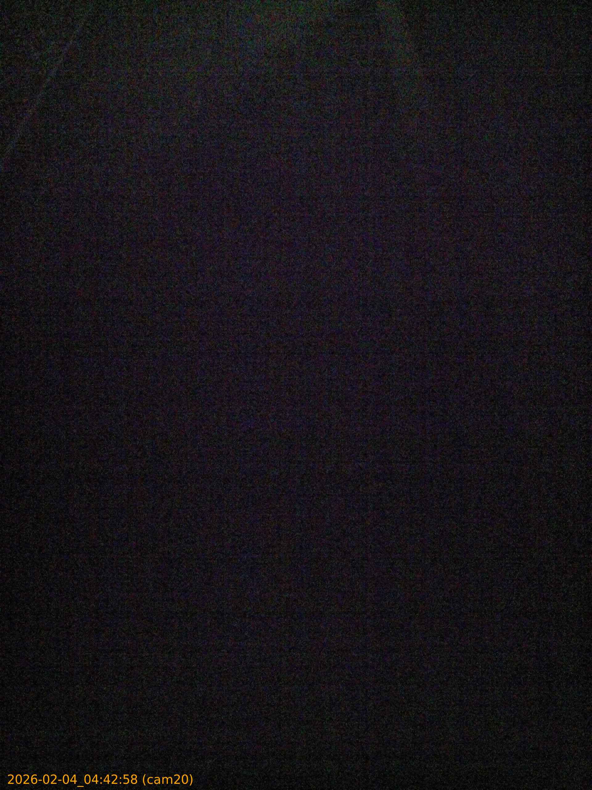 thumbnail_202602040442