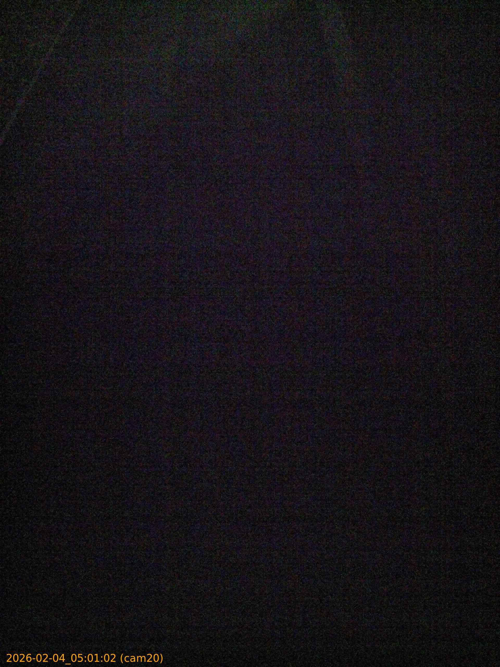 thumbnail_20260204050102