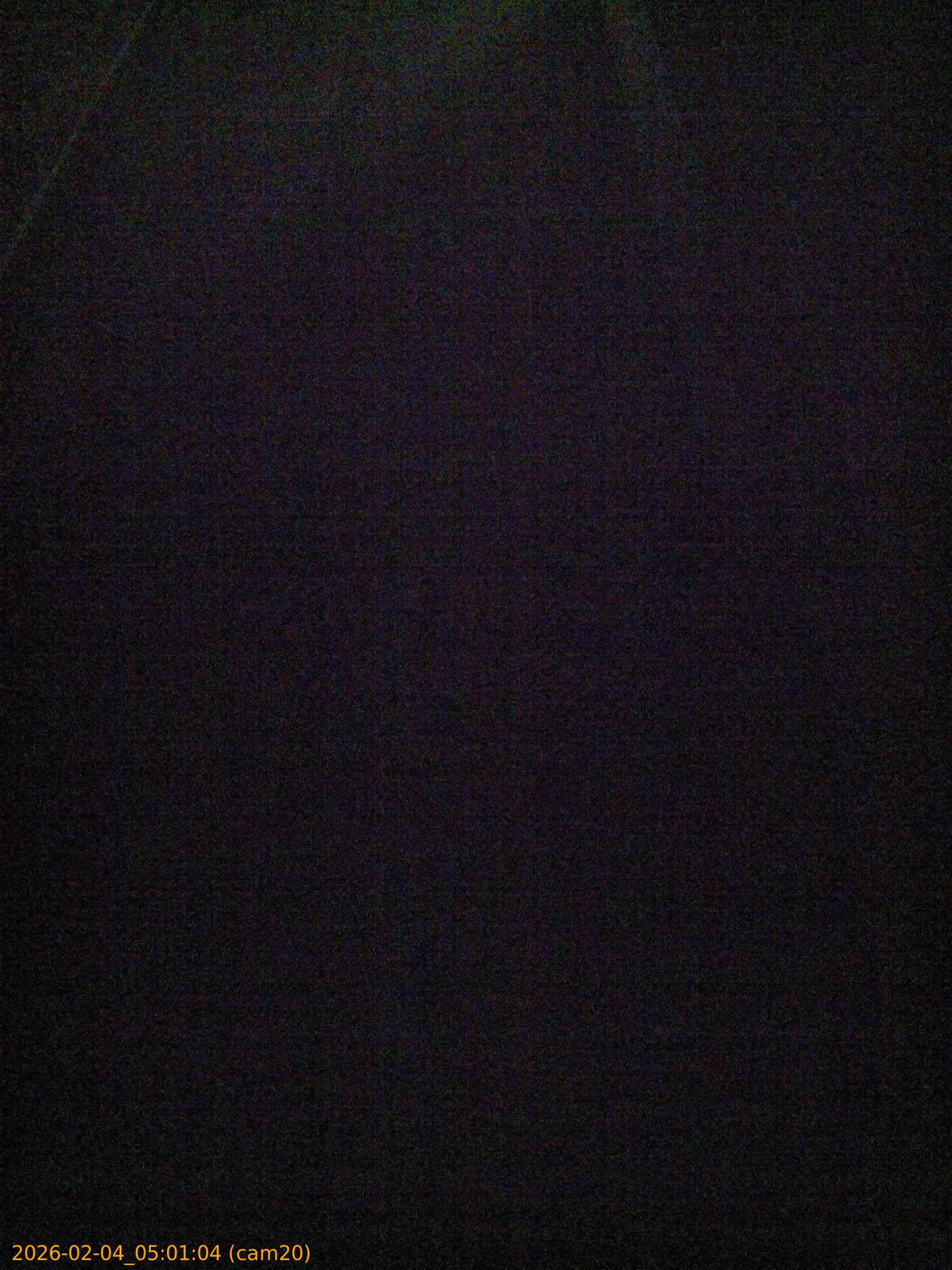 thumbnail_20260204050104