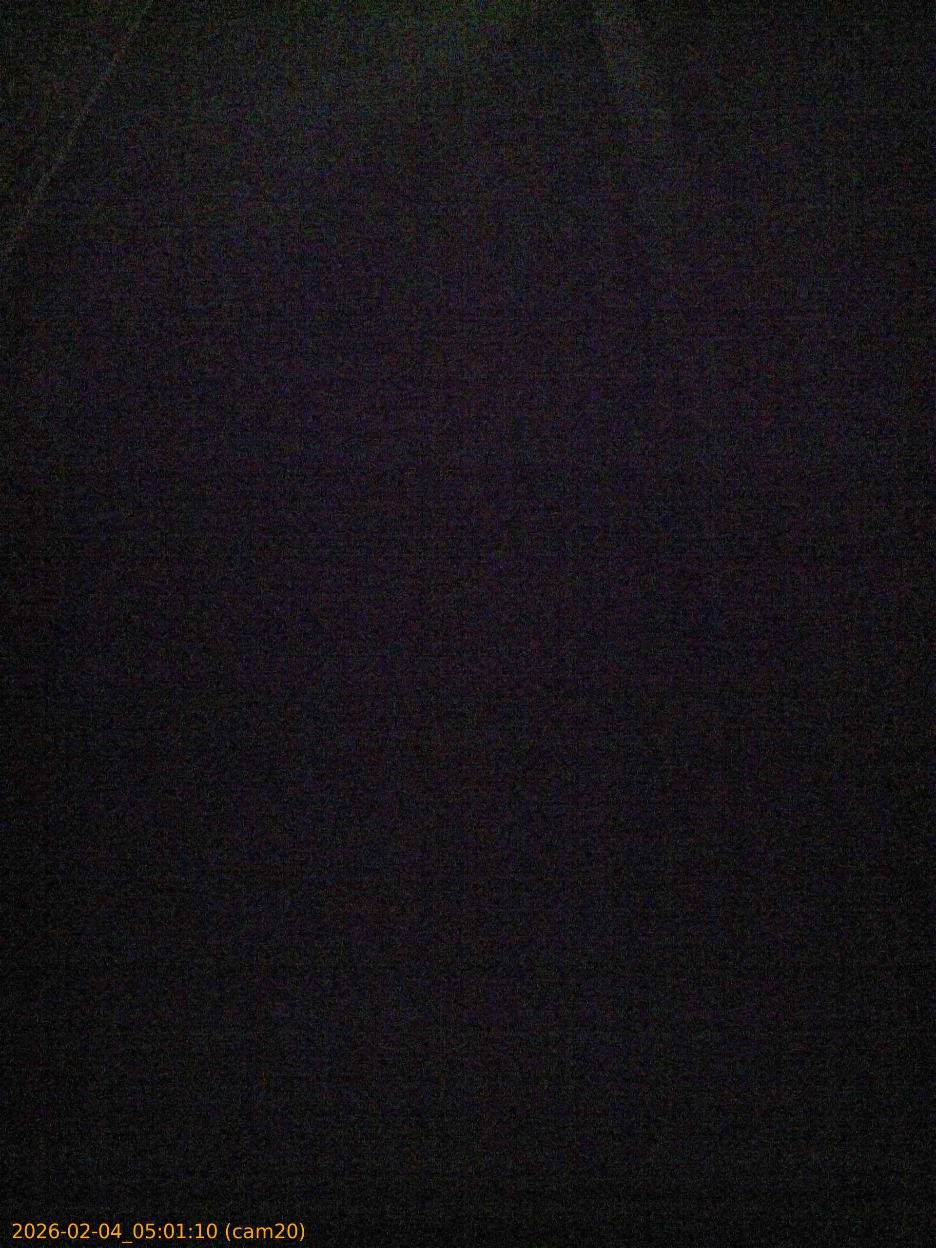 thumbnail_20260204050110