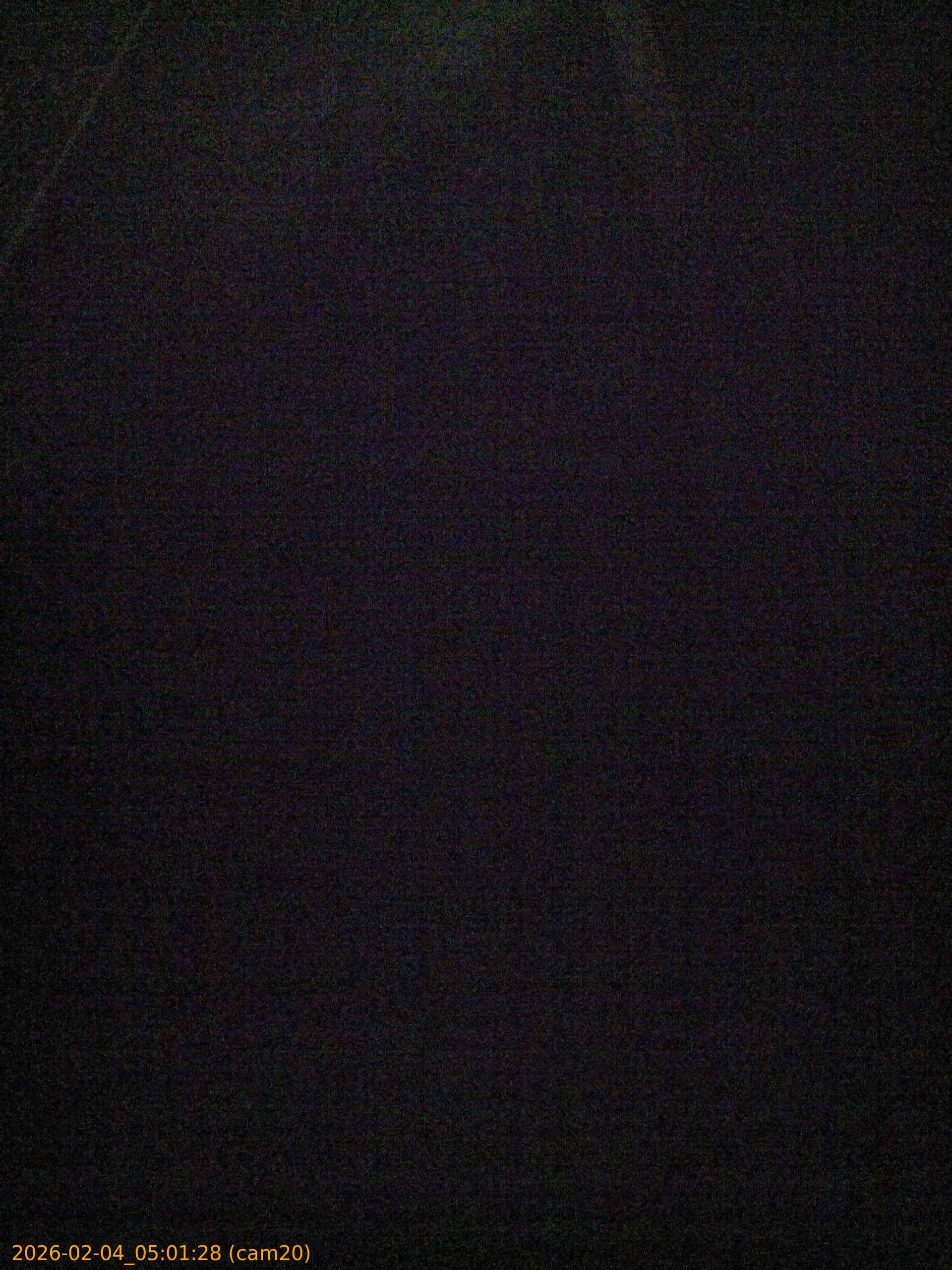 thumbnail_20260204050128