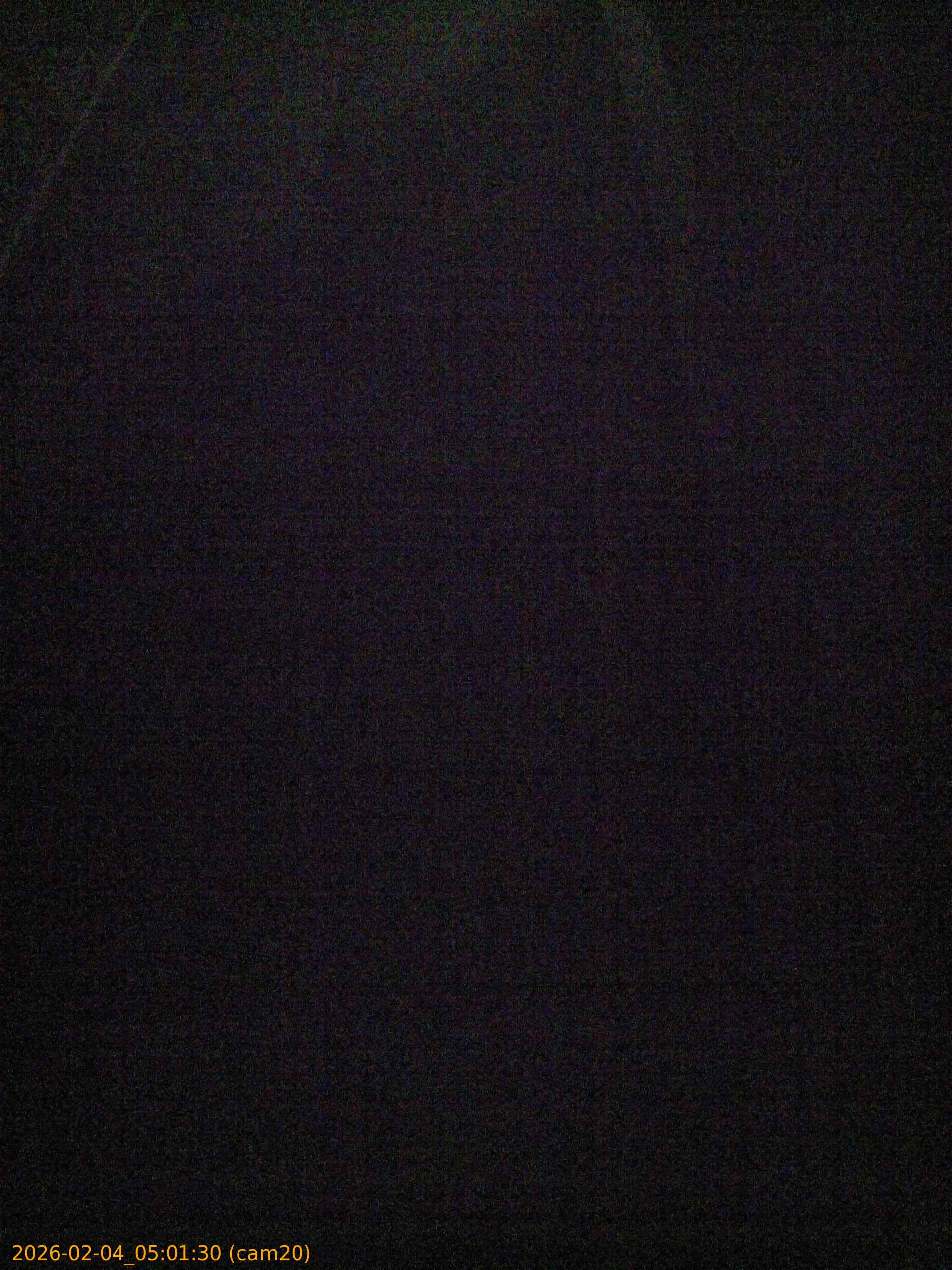 thumbnail_20260204050130