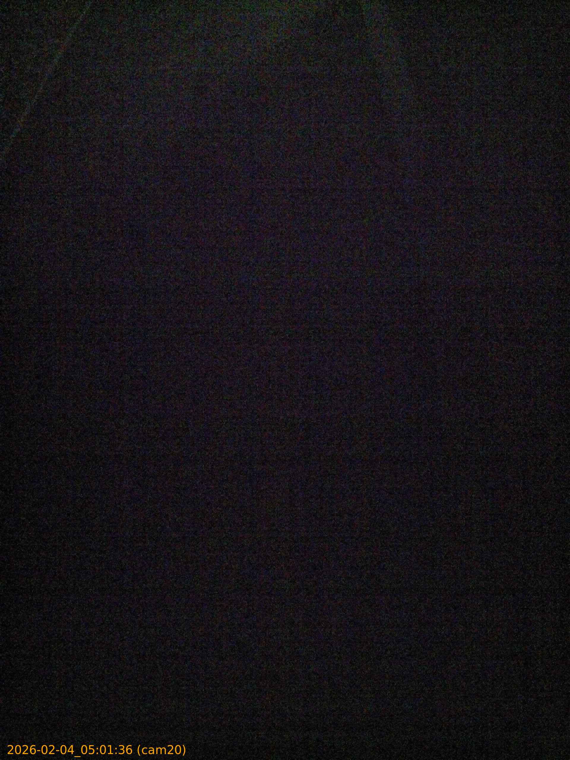 thumbnail_20260204050136