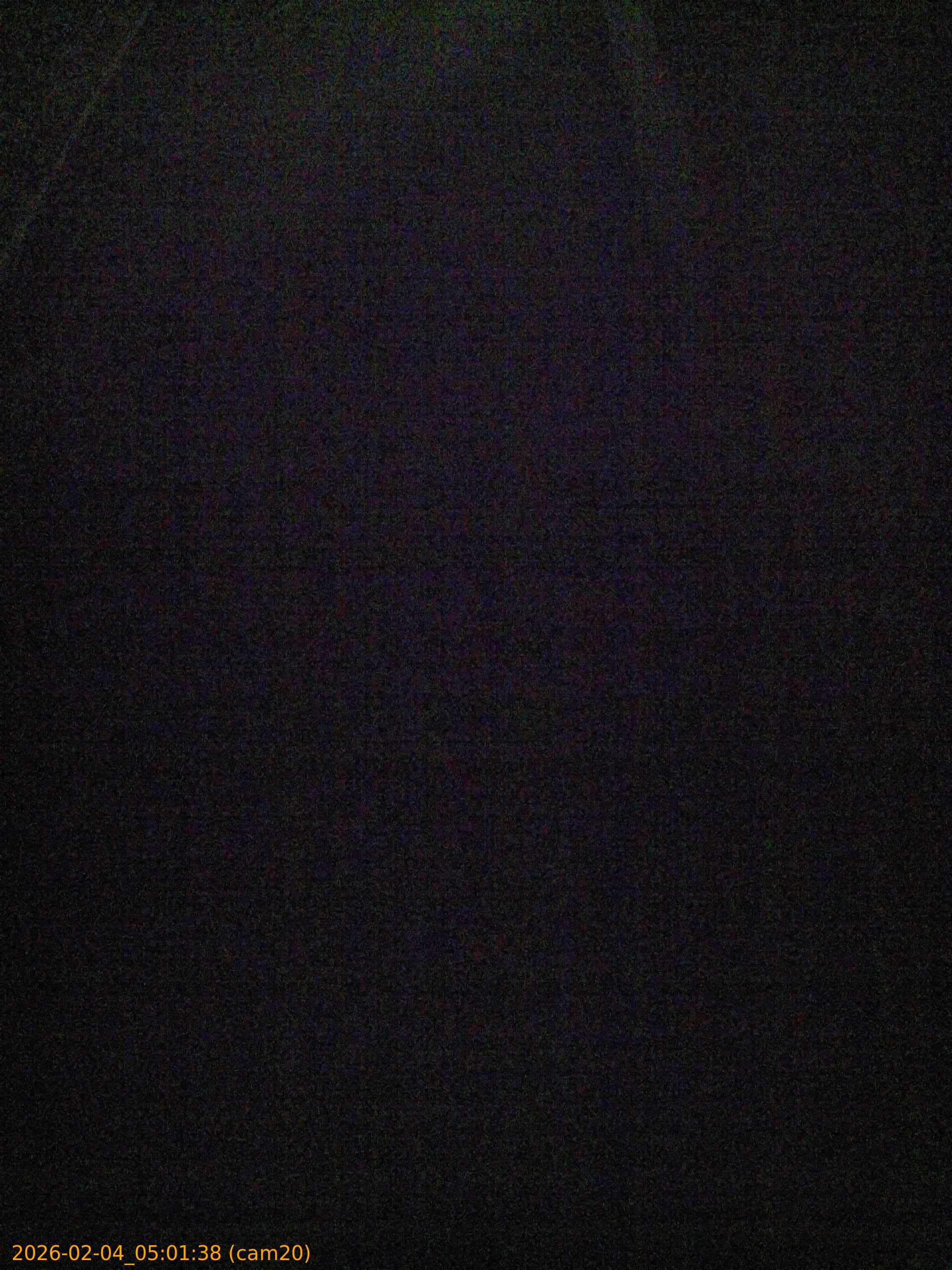 thumbnail_20260204050138