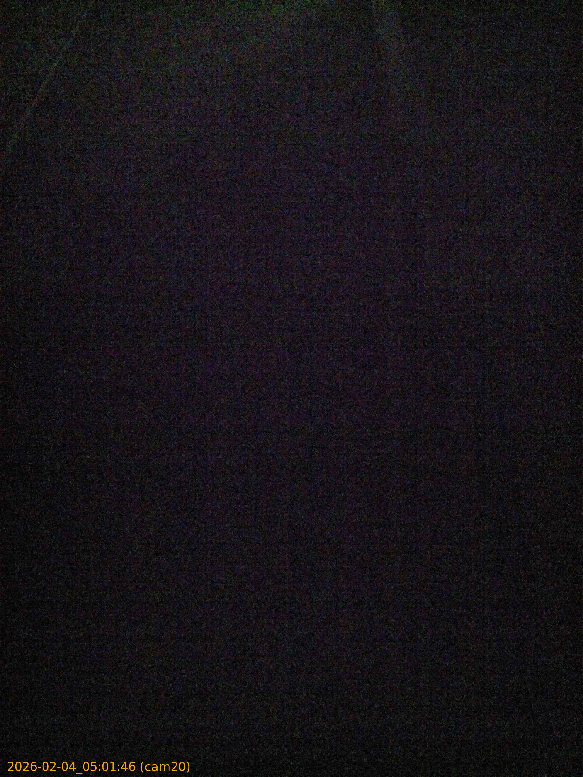 thumbnail_20260204050146