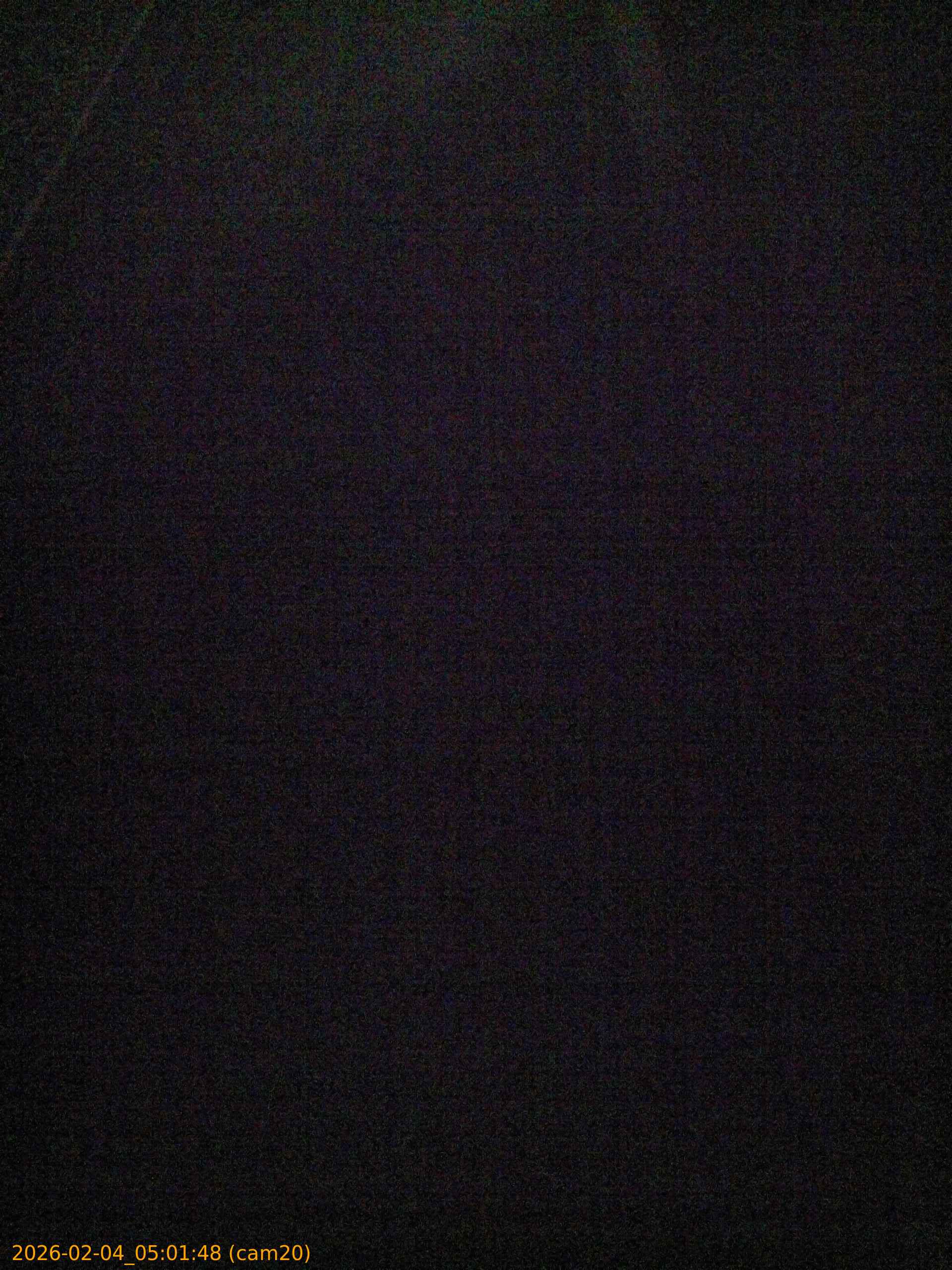 thumbnail_20260204050148