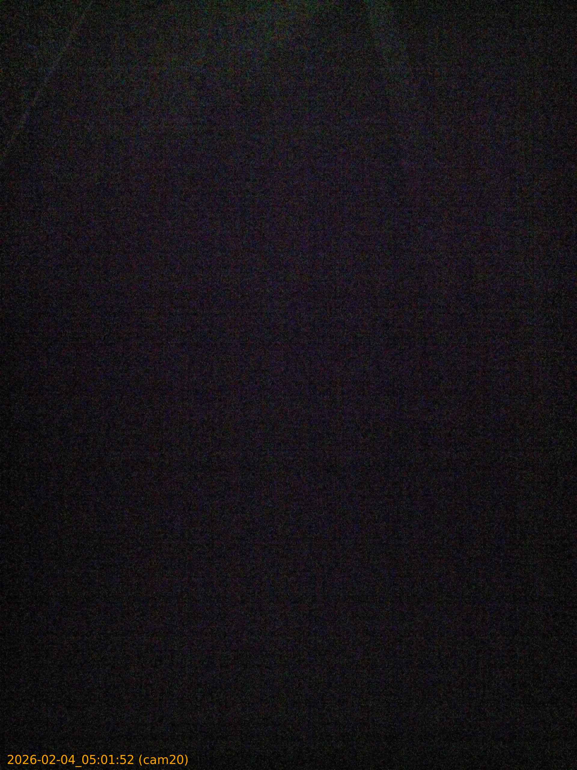 thumbnail_20260204050152