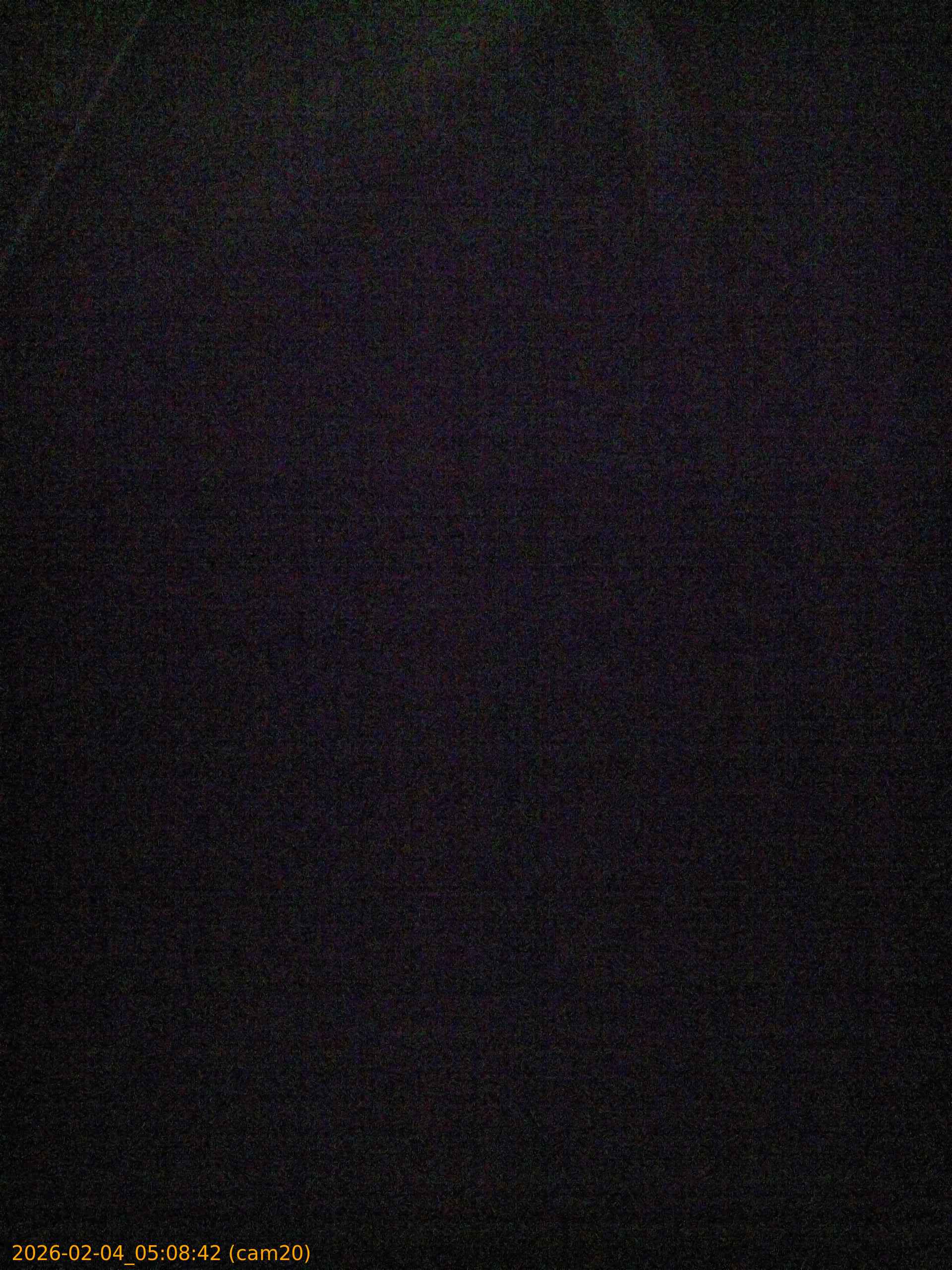 thumbnail_20260204050842