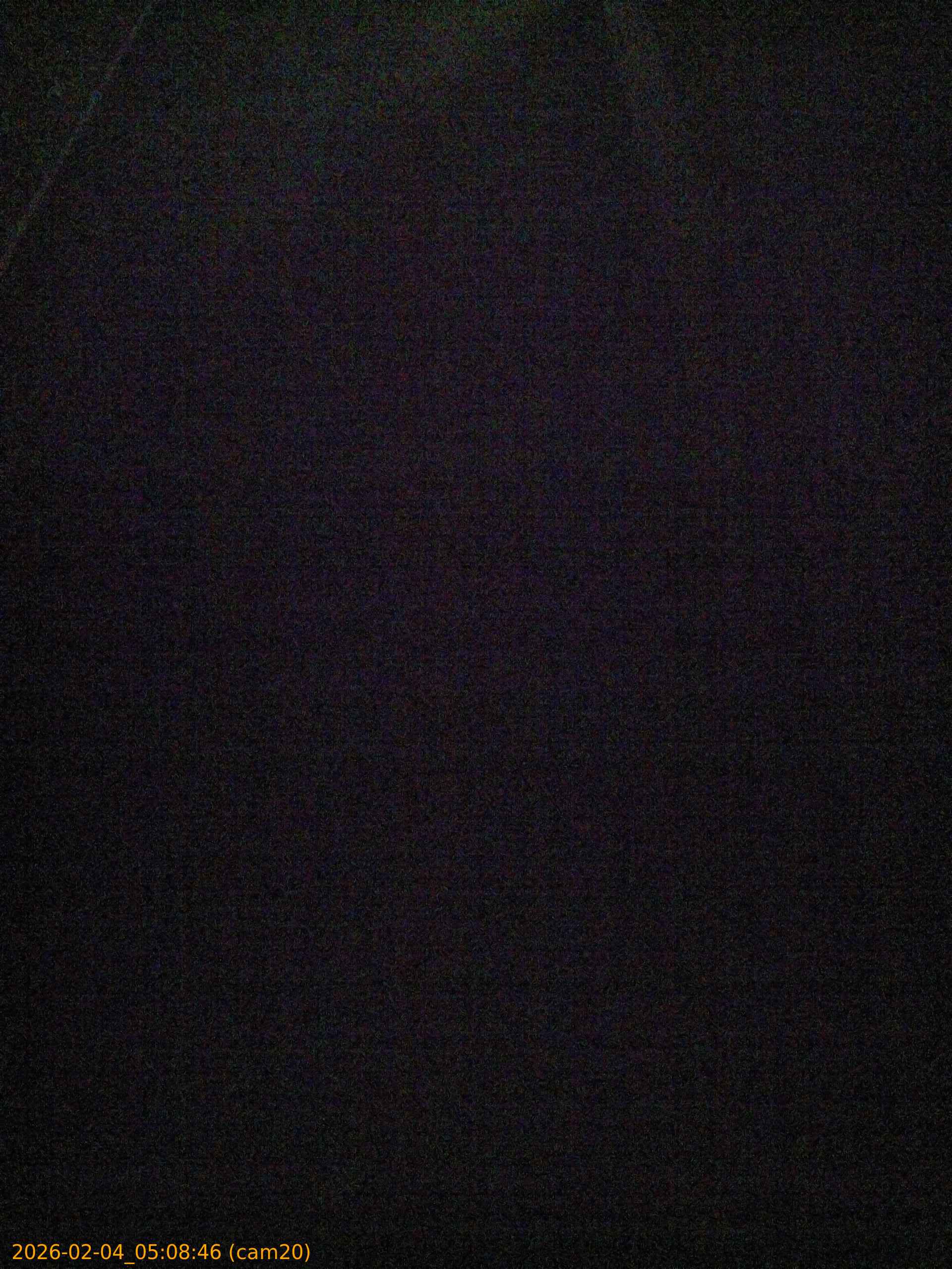 thumbnail_20260204050846