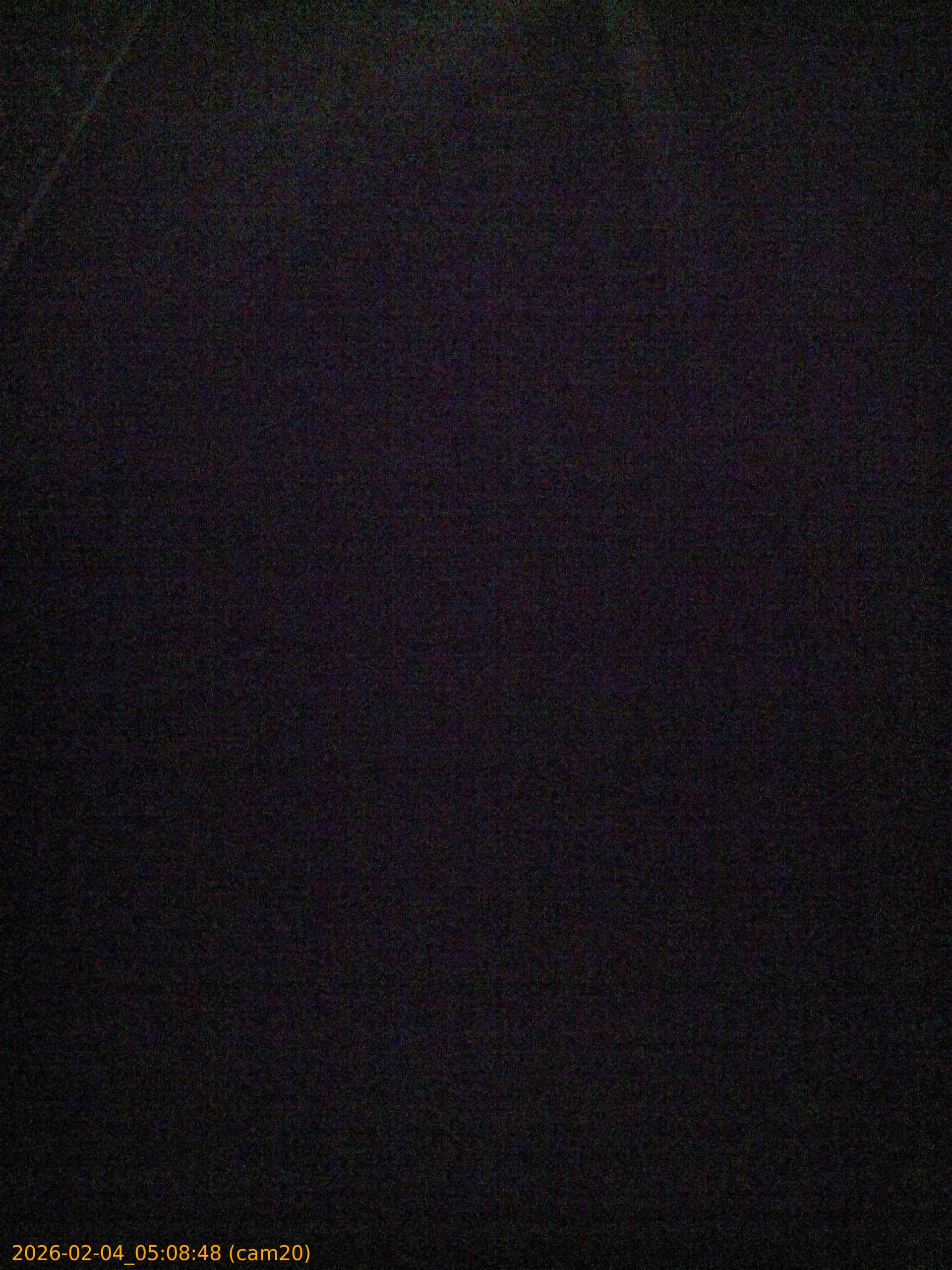 thumbnail_20260204050848