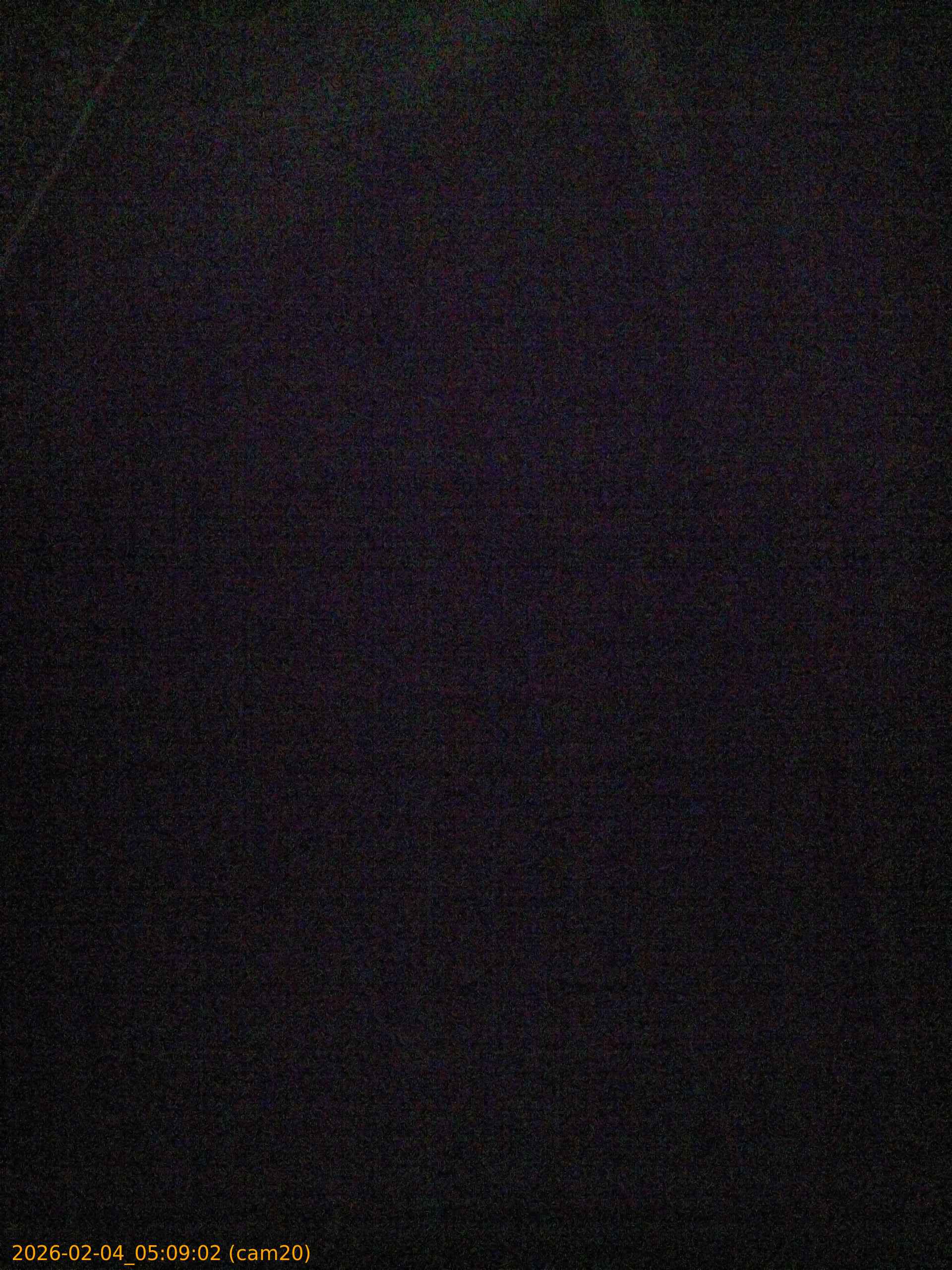 thumbnail_20260204050902