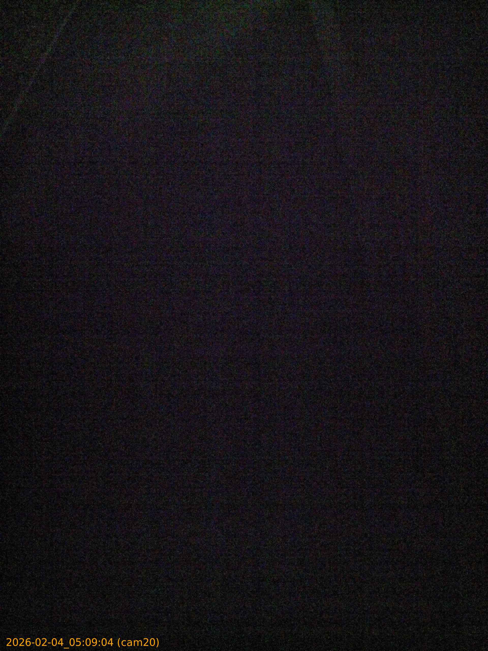 thumbnail_20260204050904