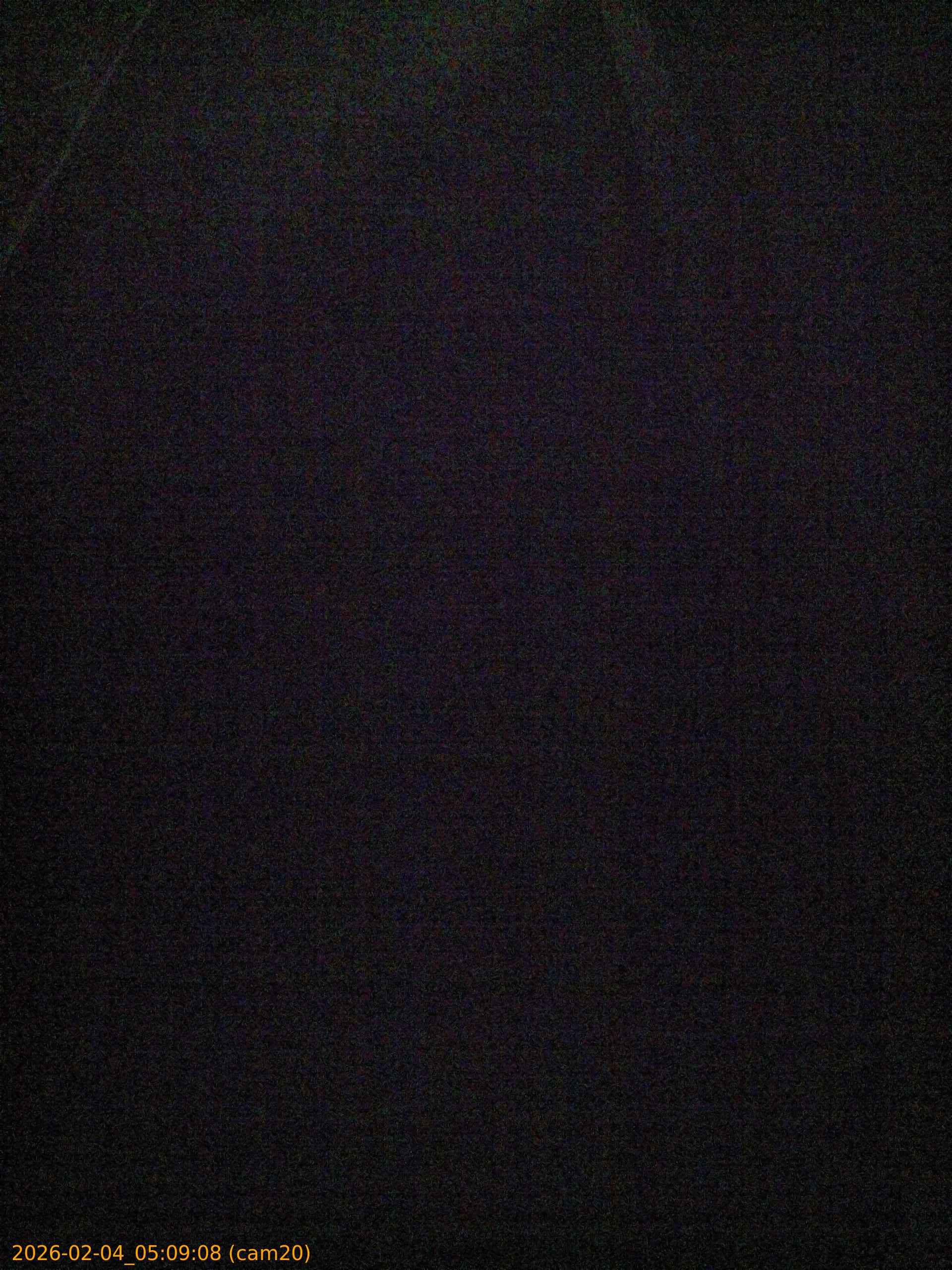 thumbnail_20260204050908