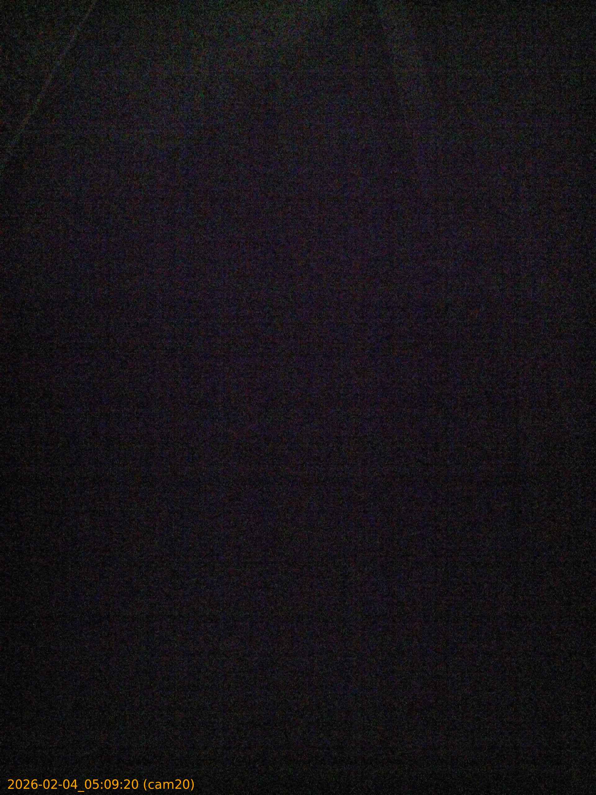 thumbnail_20260204050920