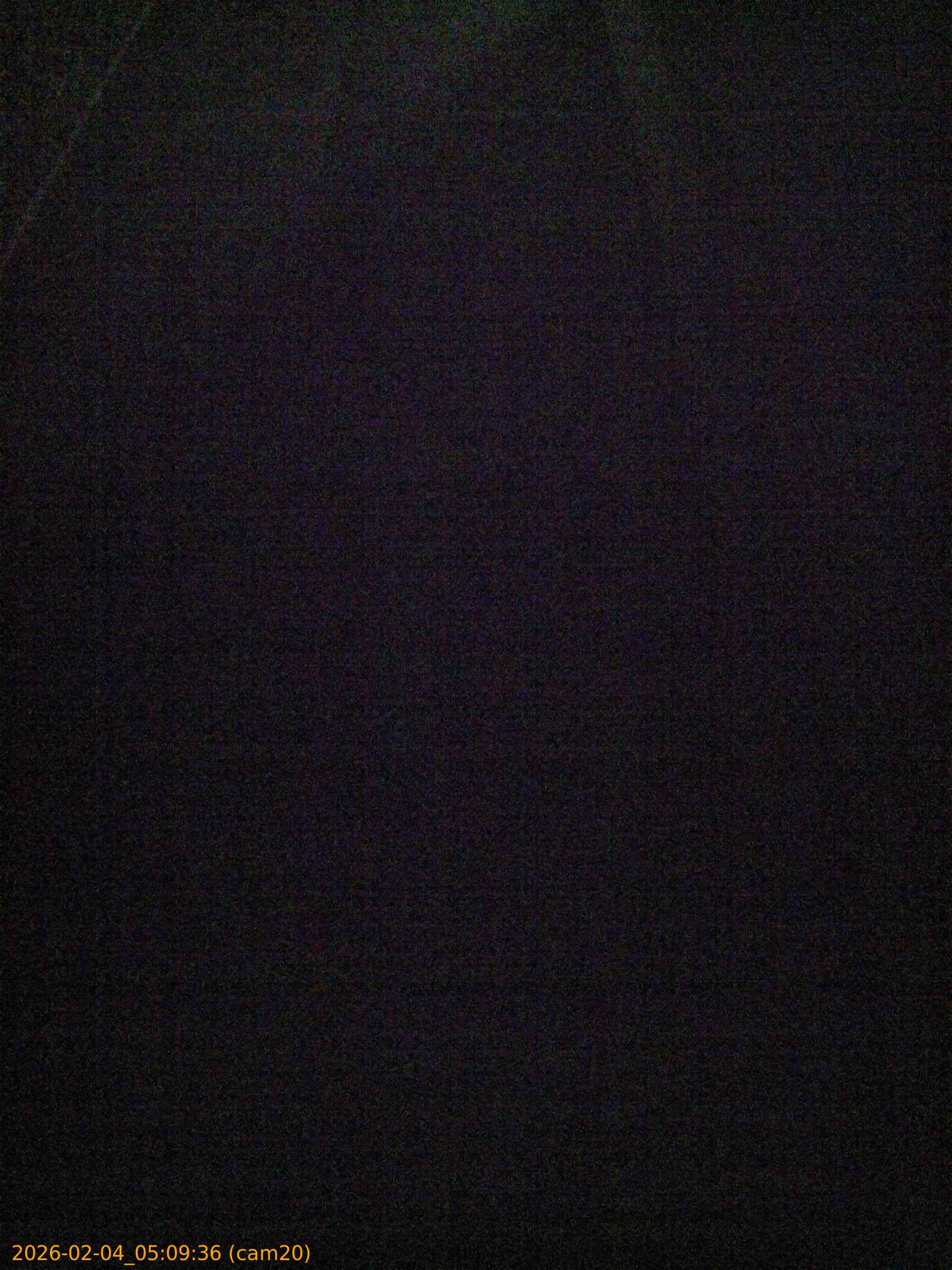 thumbnail_20260204050936