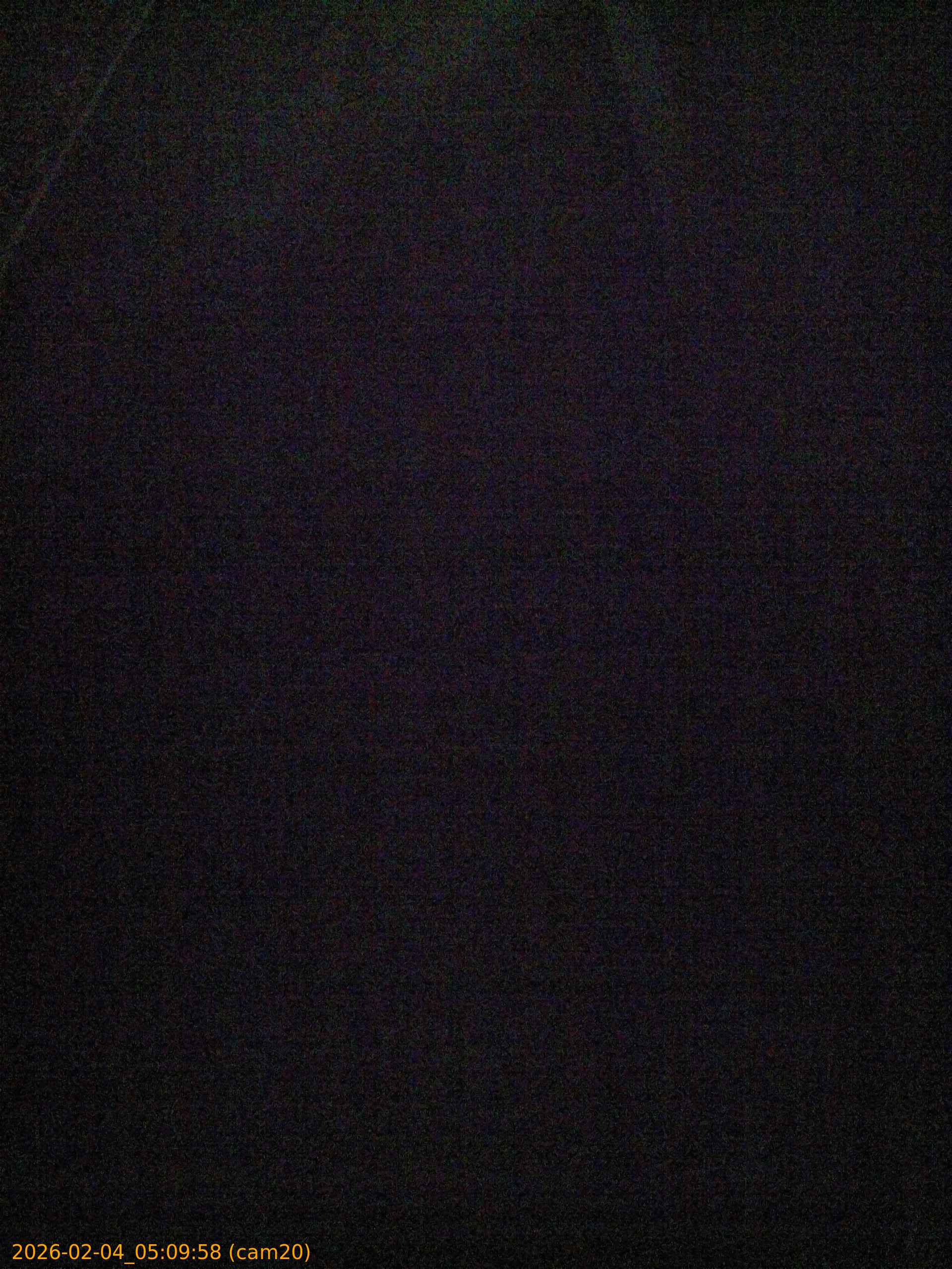 thumbnail_20260204050958