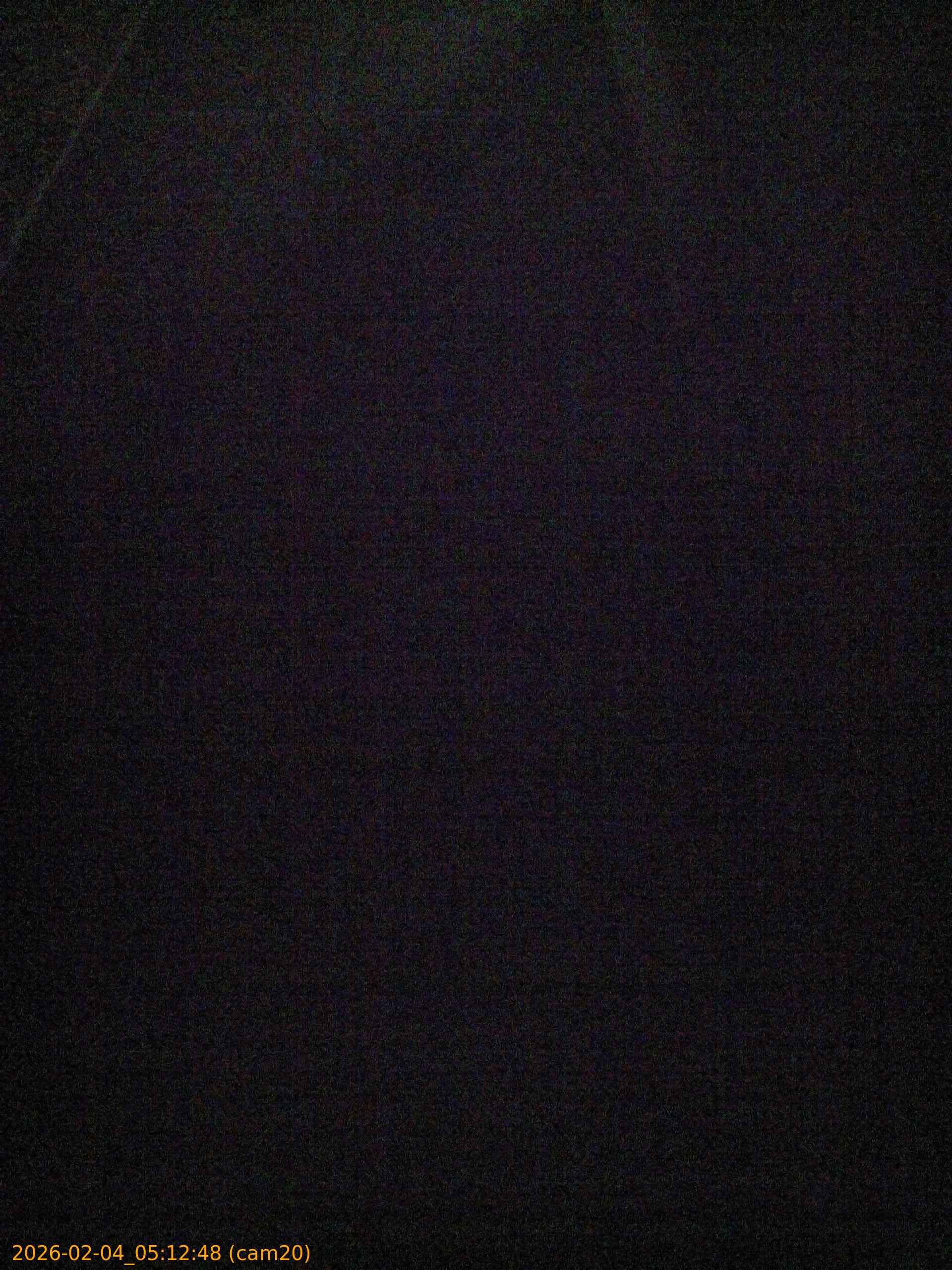 thumbnail_20260204051248