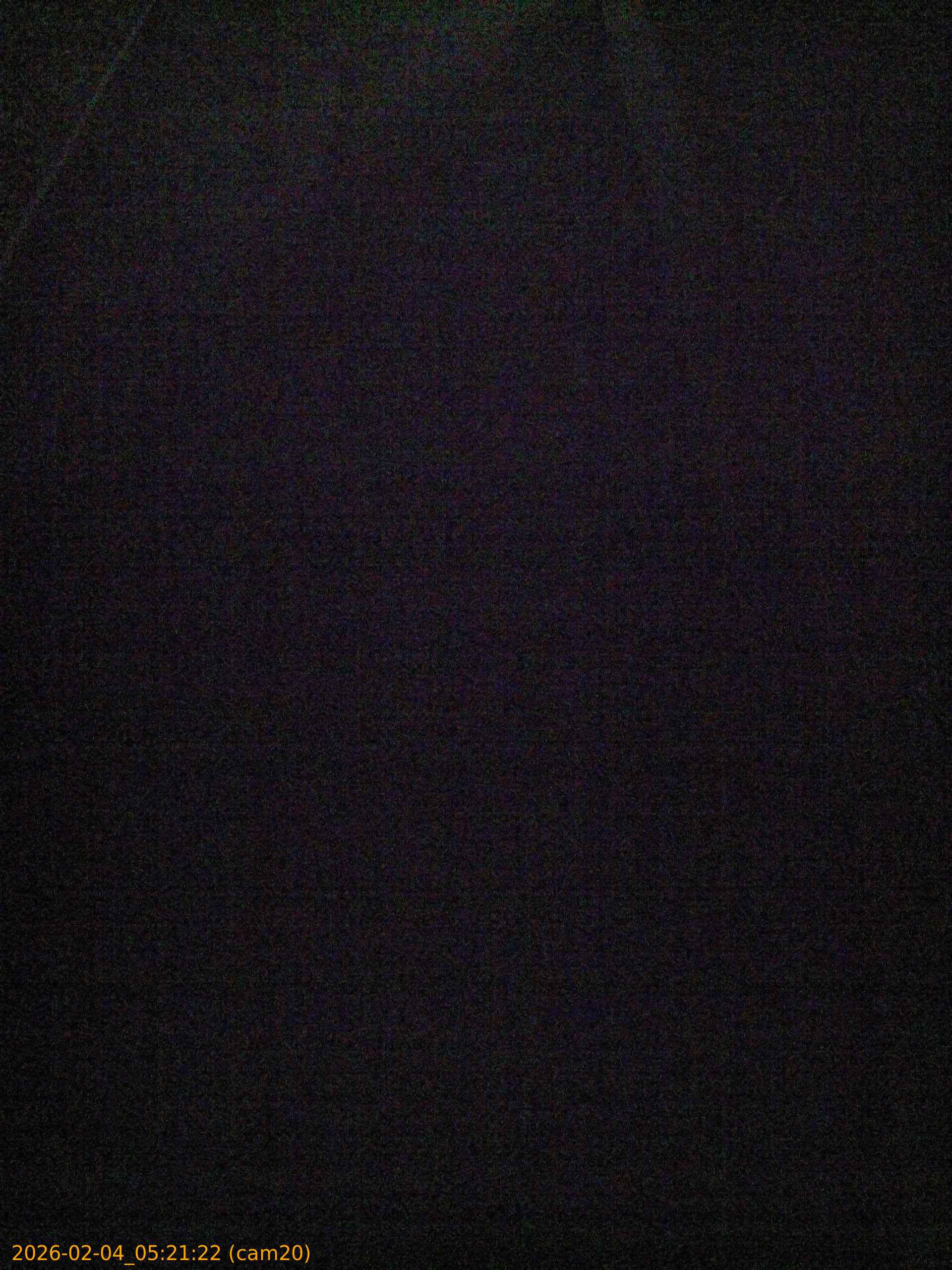 thumbnail_20260204052122