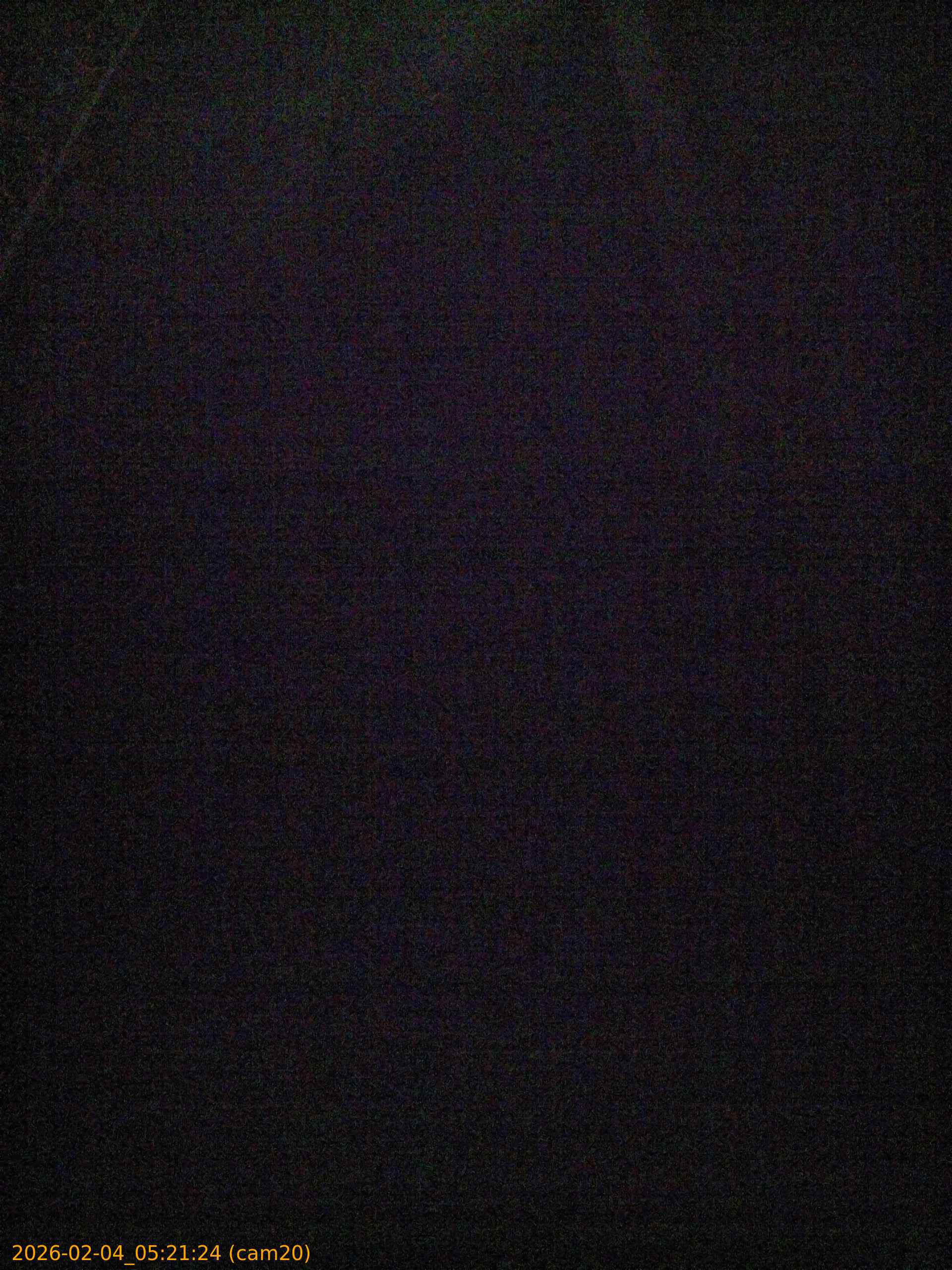 thumbnail_20260204052124