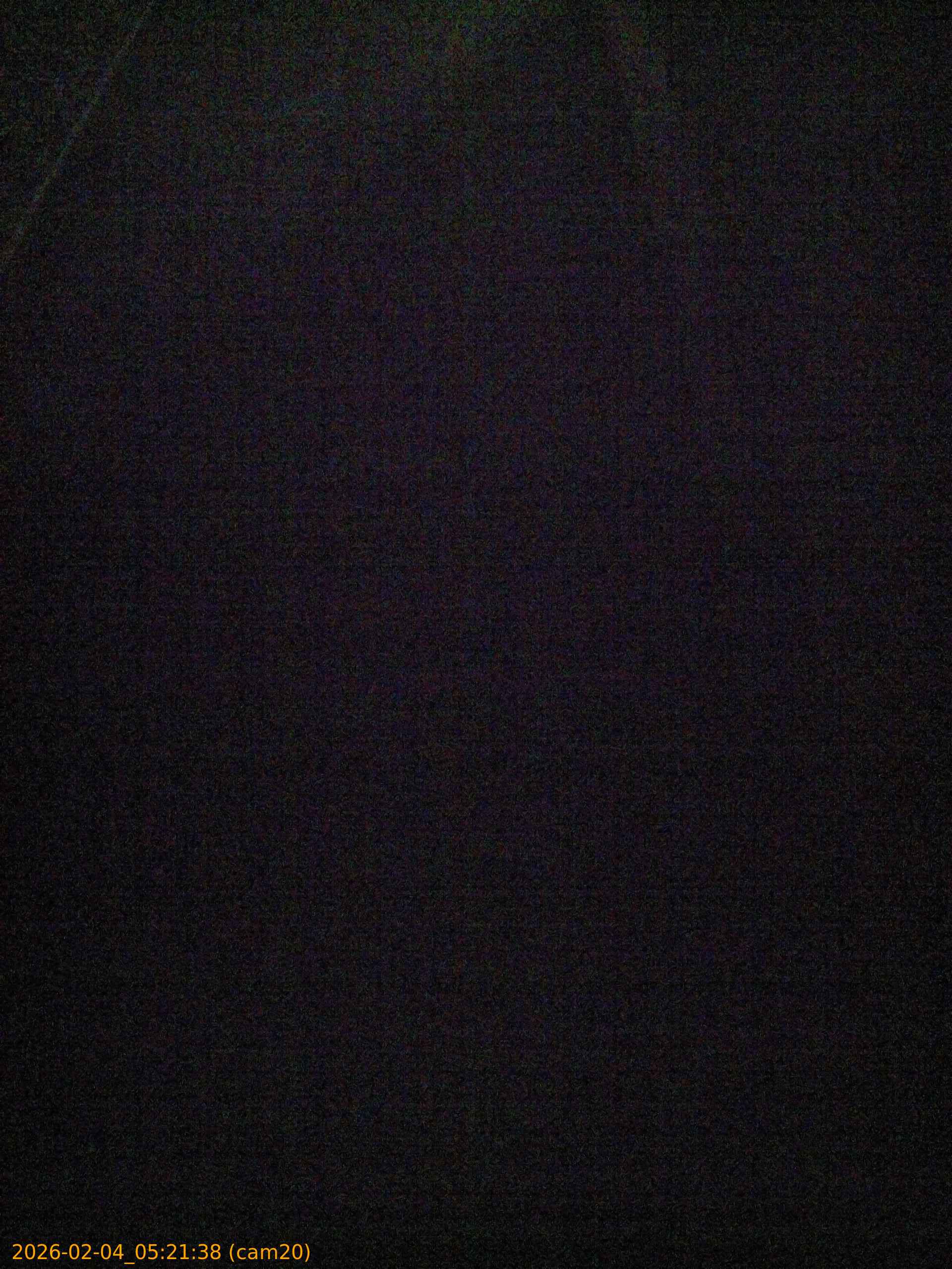 thumbnail_20260204052138