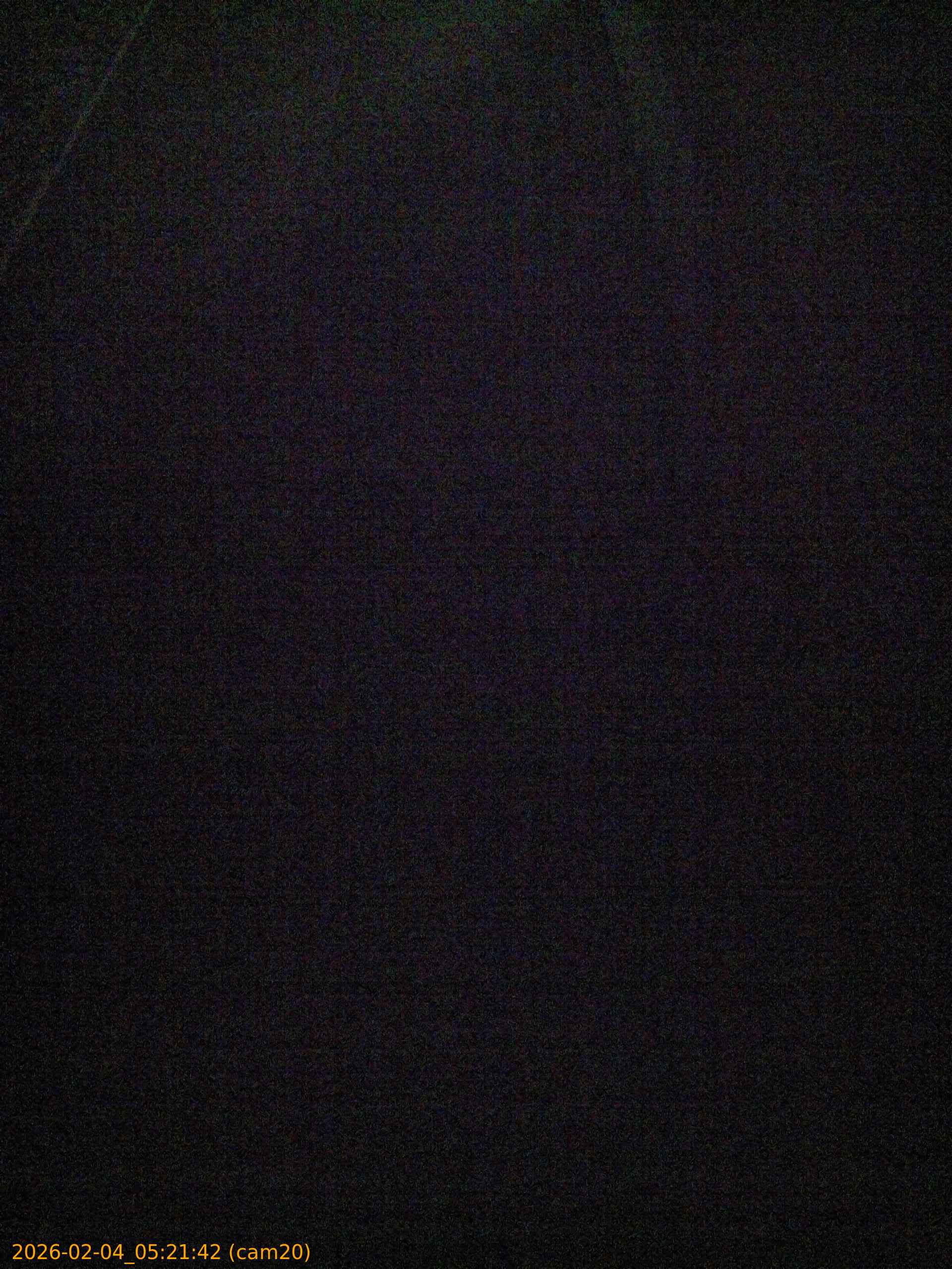 thumbnail_20260204052142