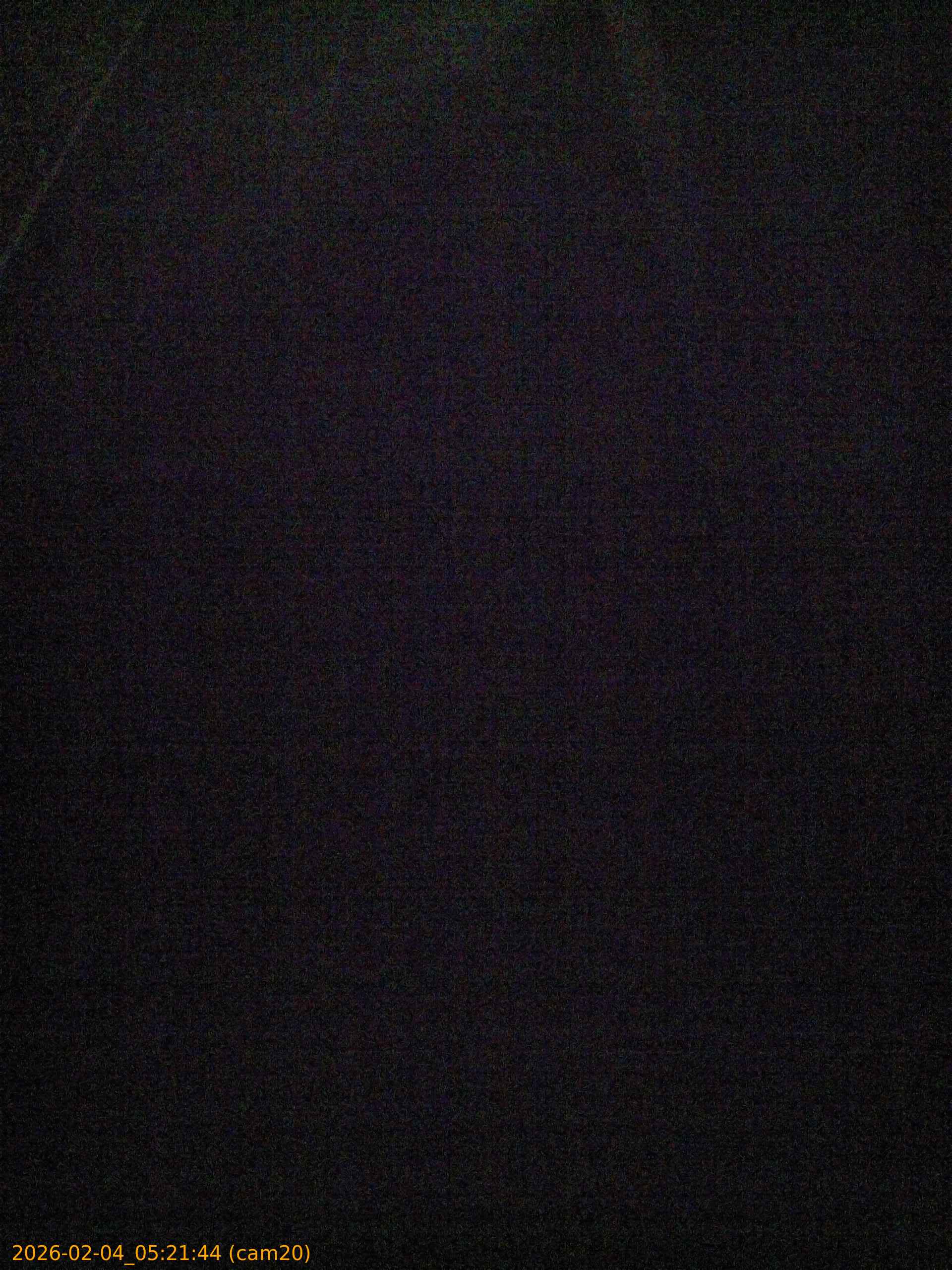 thumbnail_20260204052144