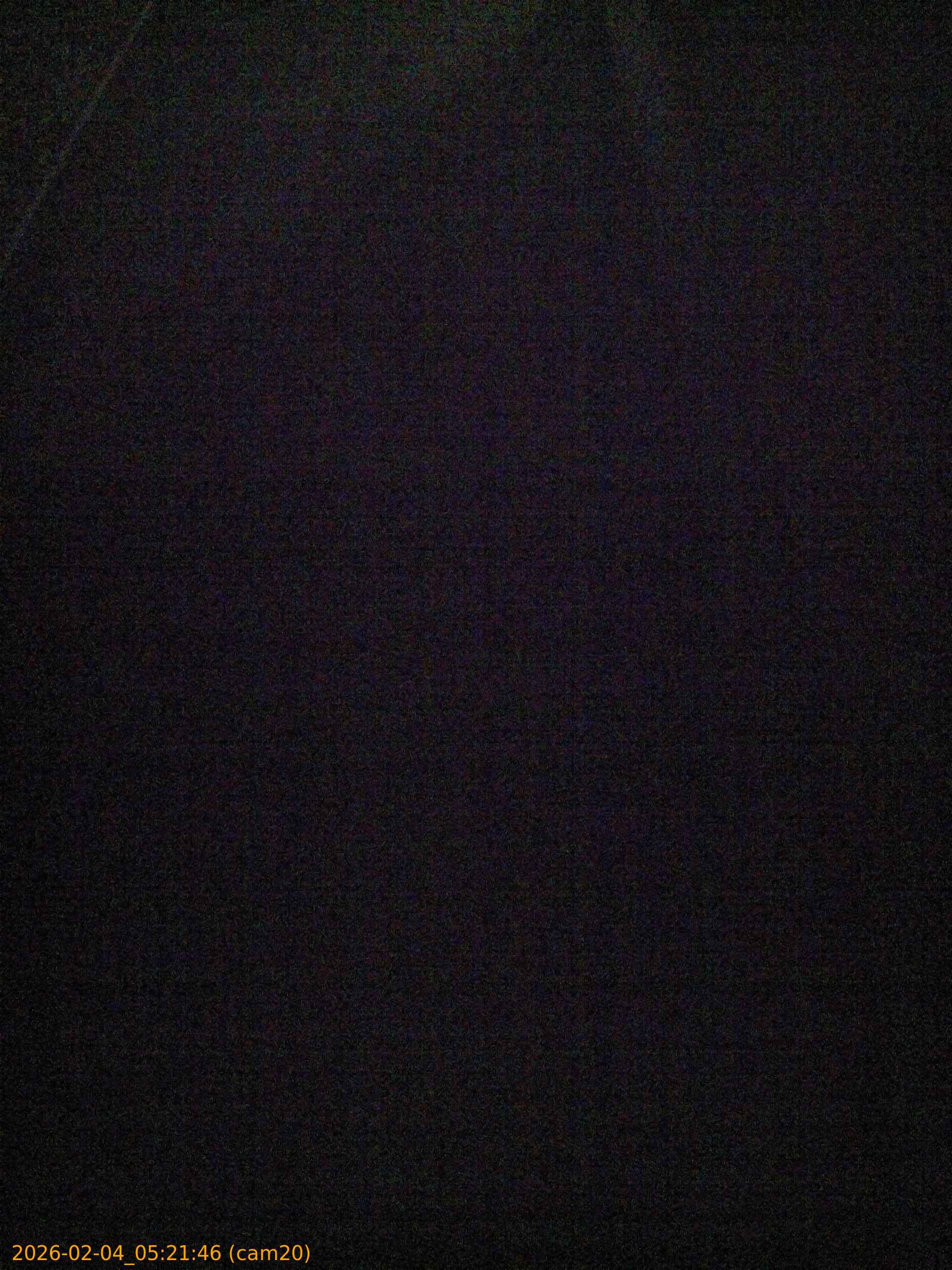 thumbnail_20260204052146