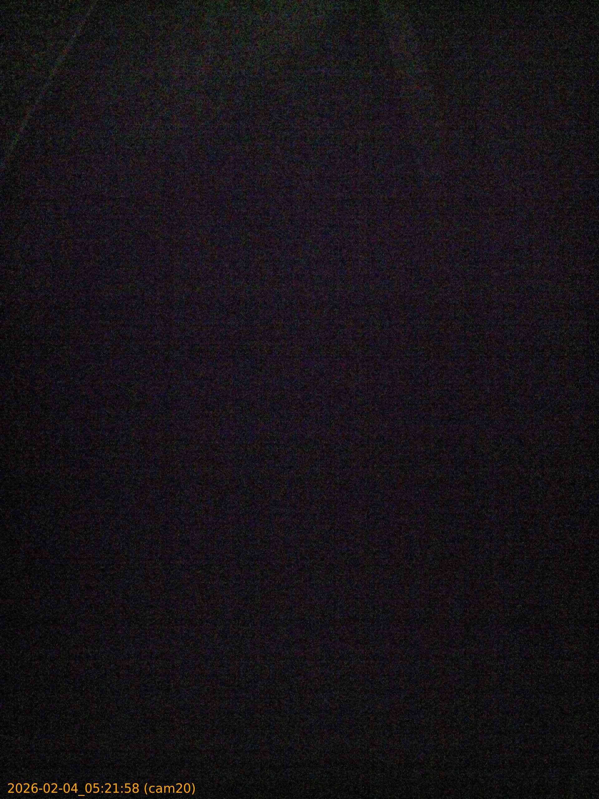 thumbnail_20260204052158