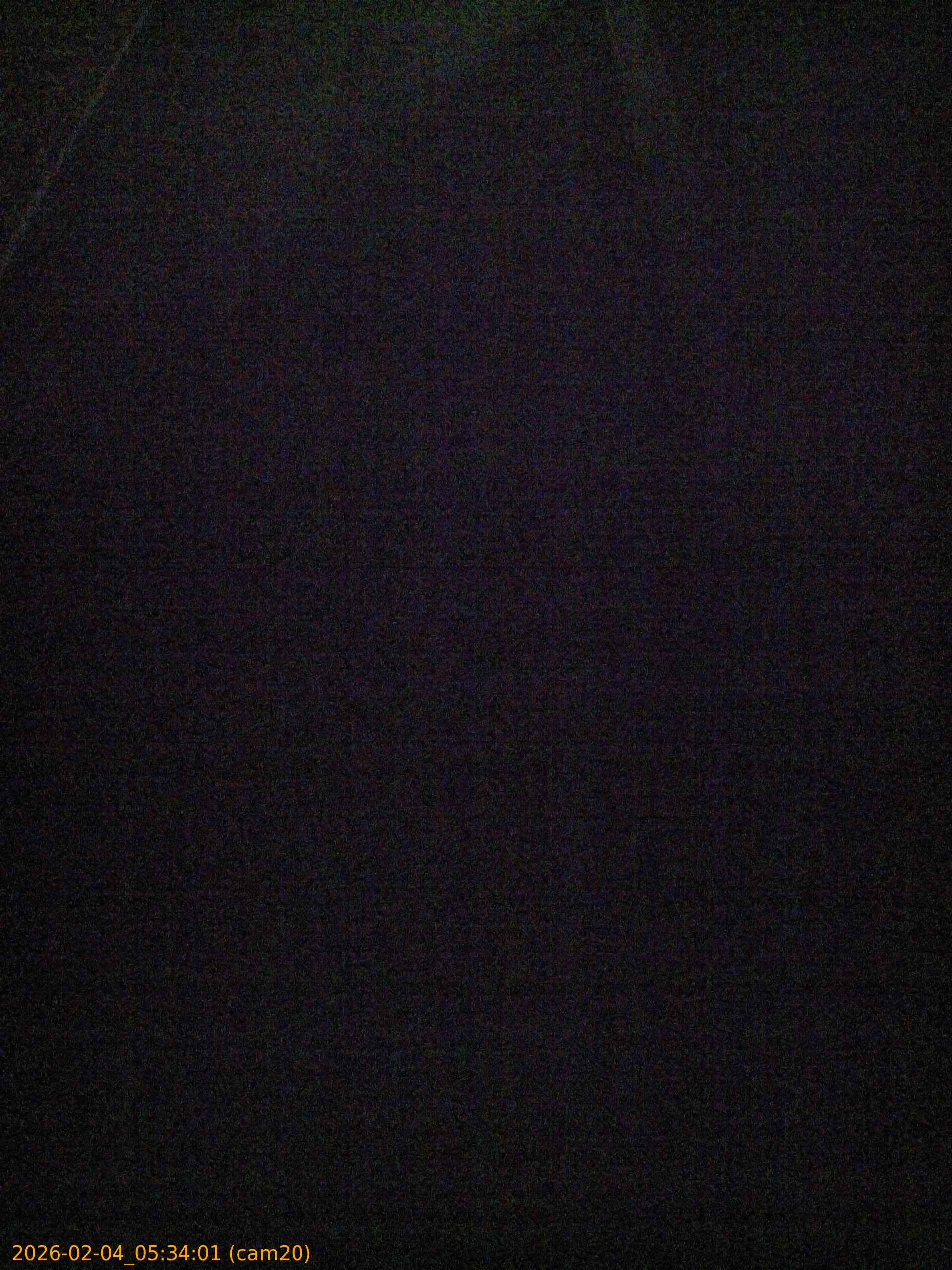 thumbnail_20260204053401