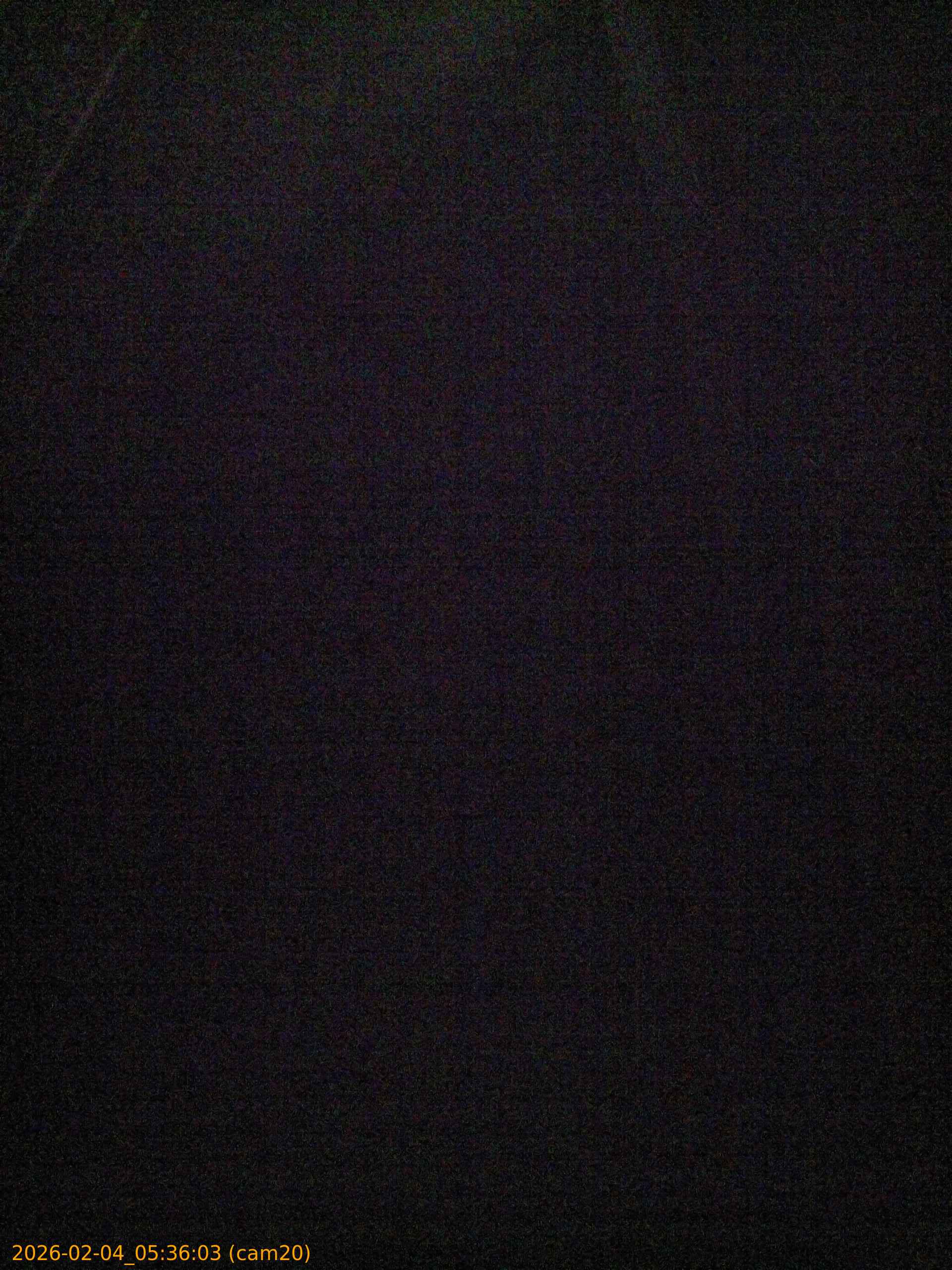 thumbnail_20260204053603