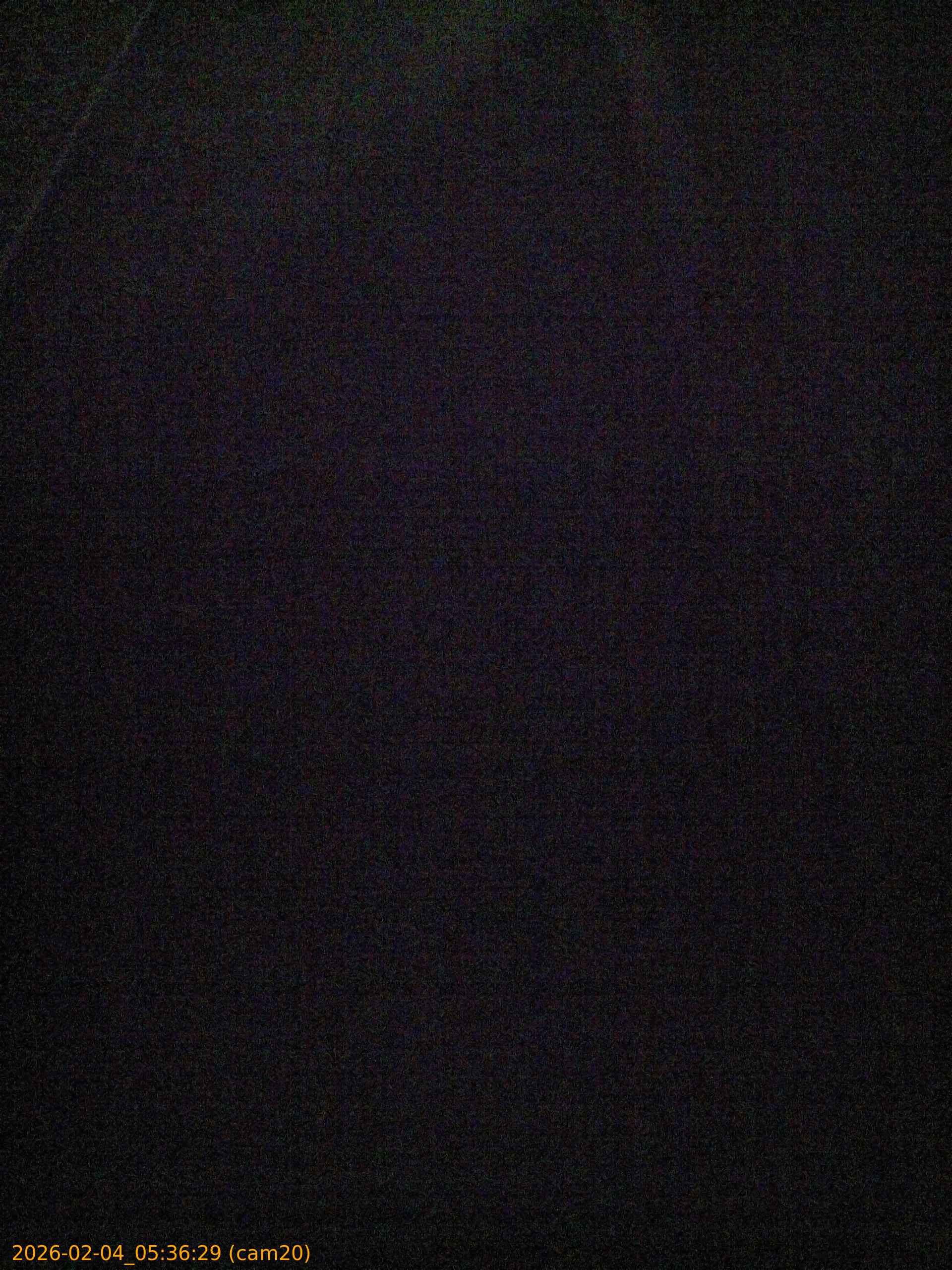 thumbnail_20260204053629