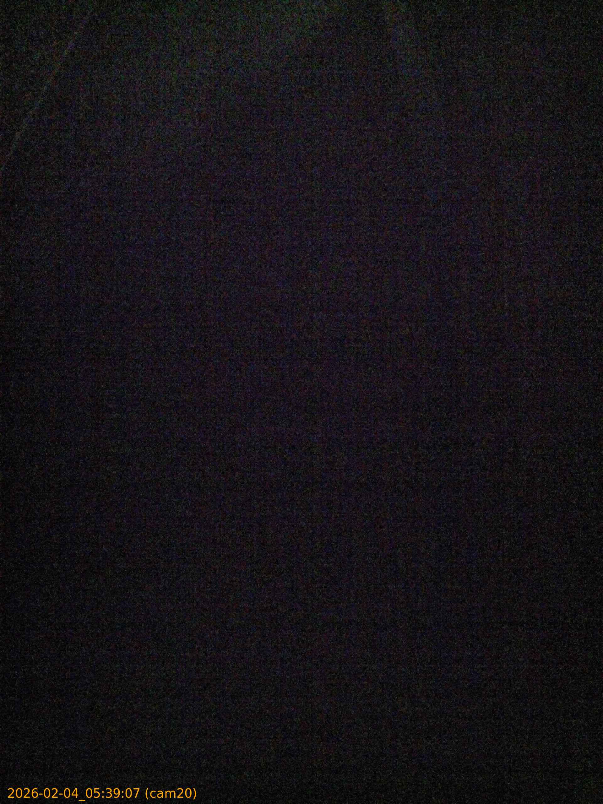 thumbnail_20260204053907