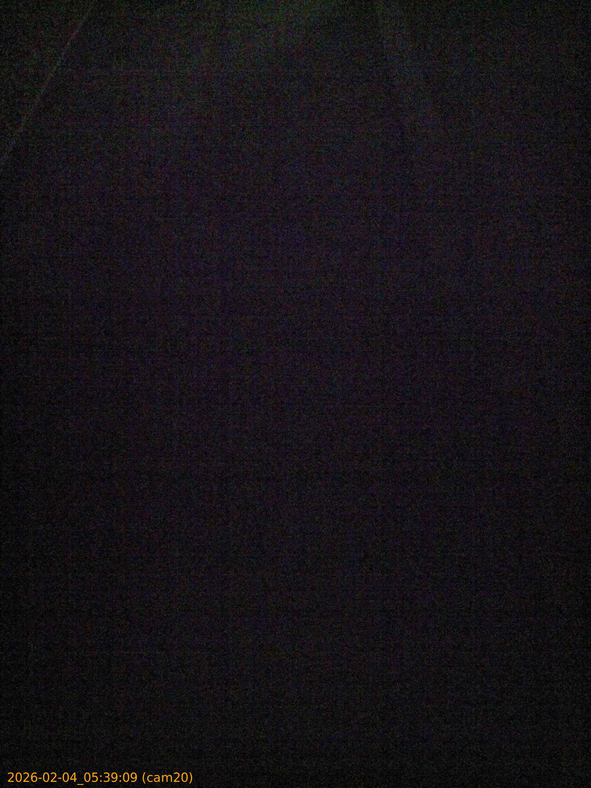 thumbnail_20260204053909