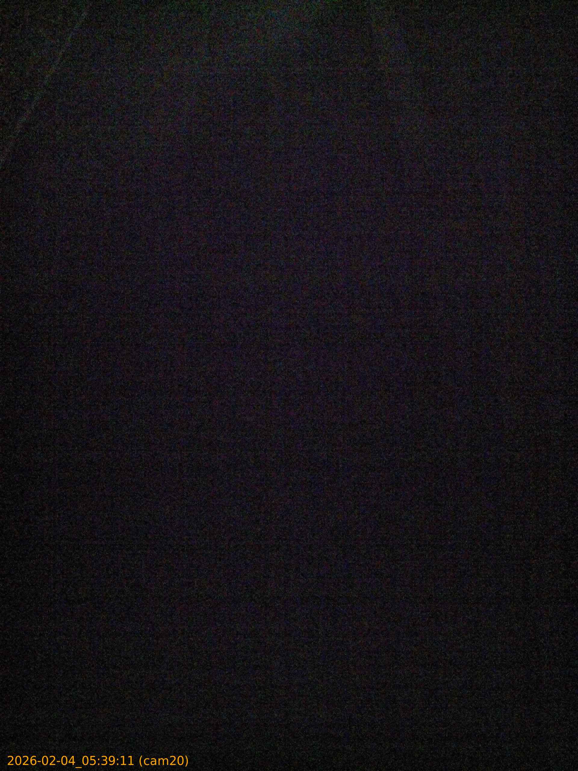 thumbnail_20260204053911