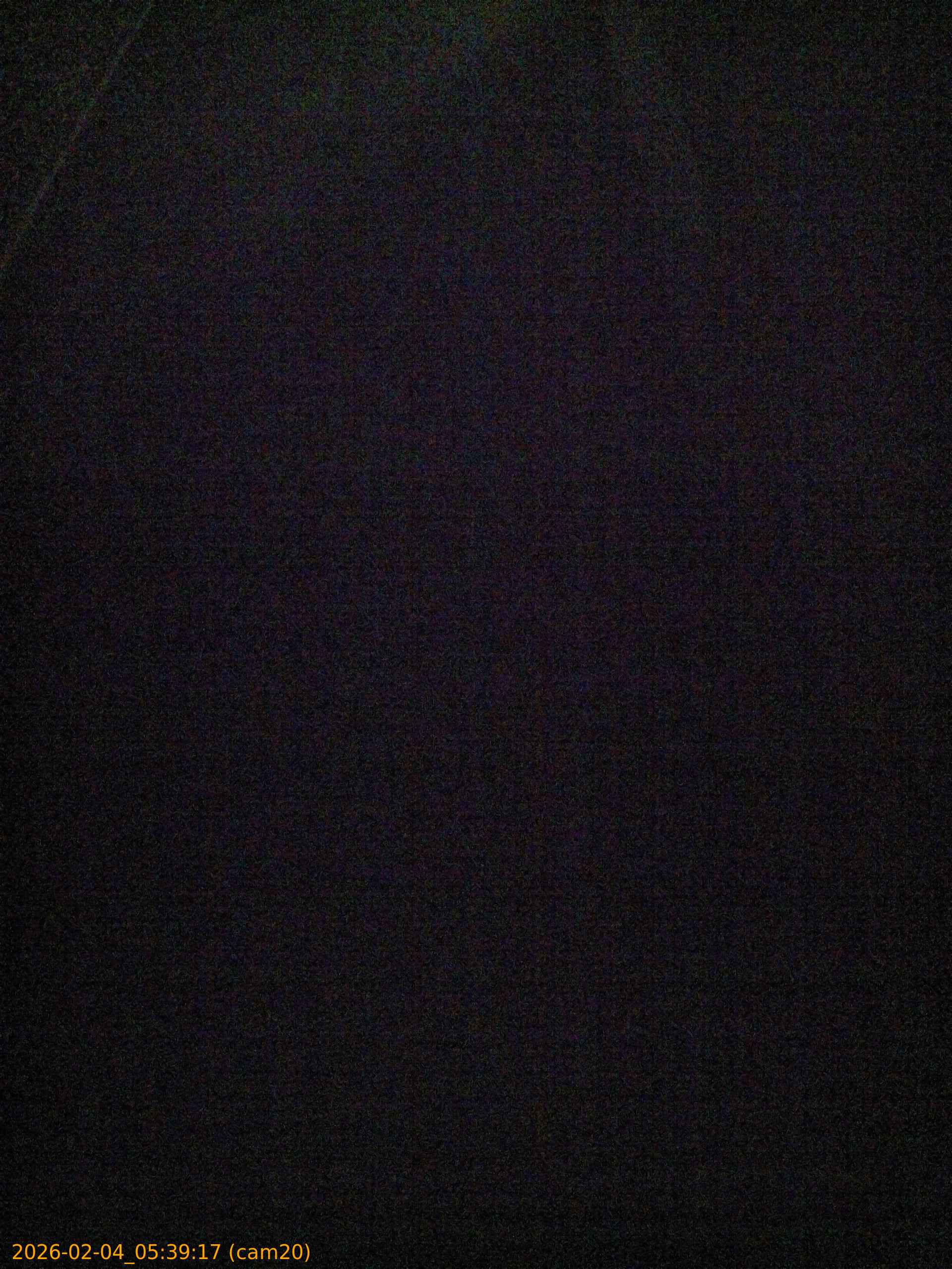 thumbnail_20260204053917