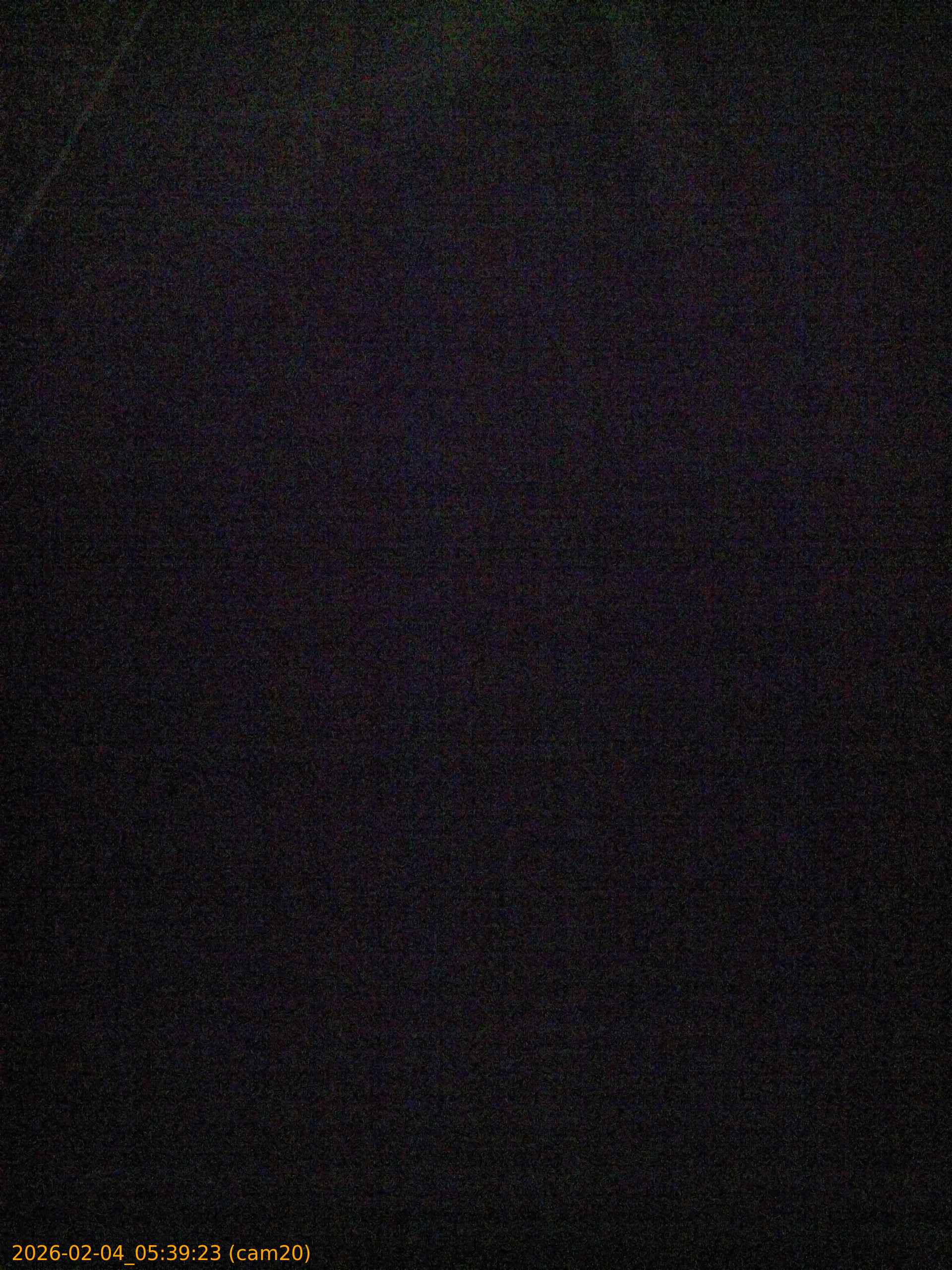 thumbnail_20260204053923