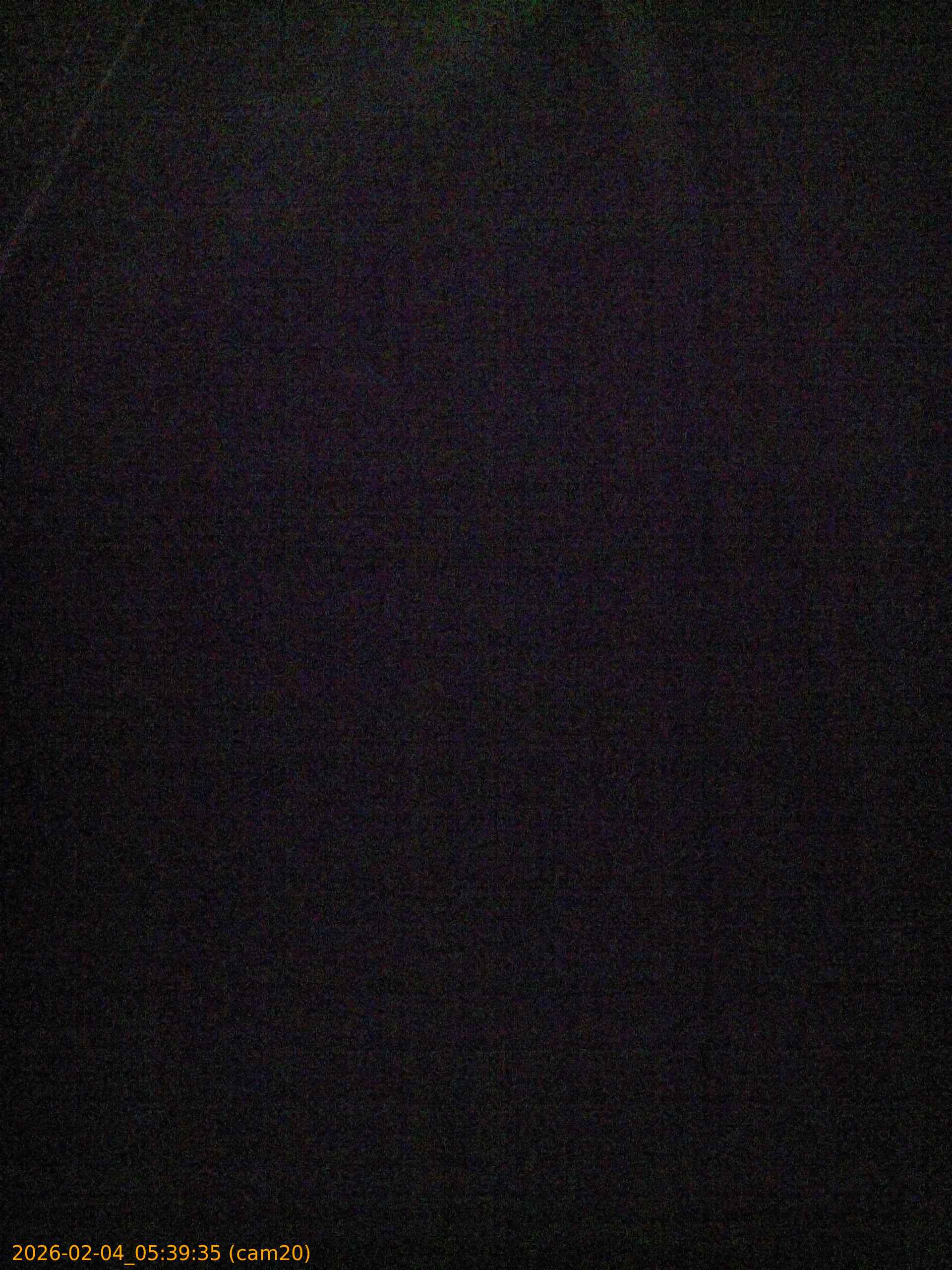 thumbnail_20260204053935